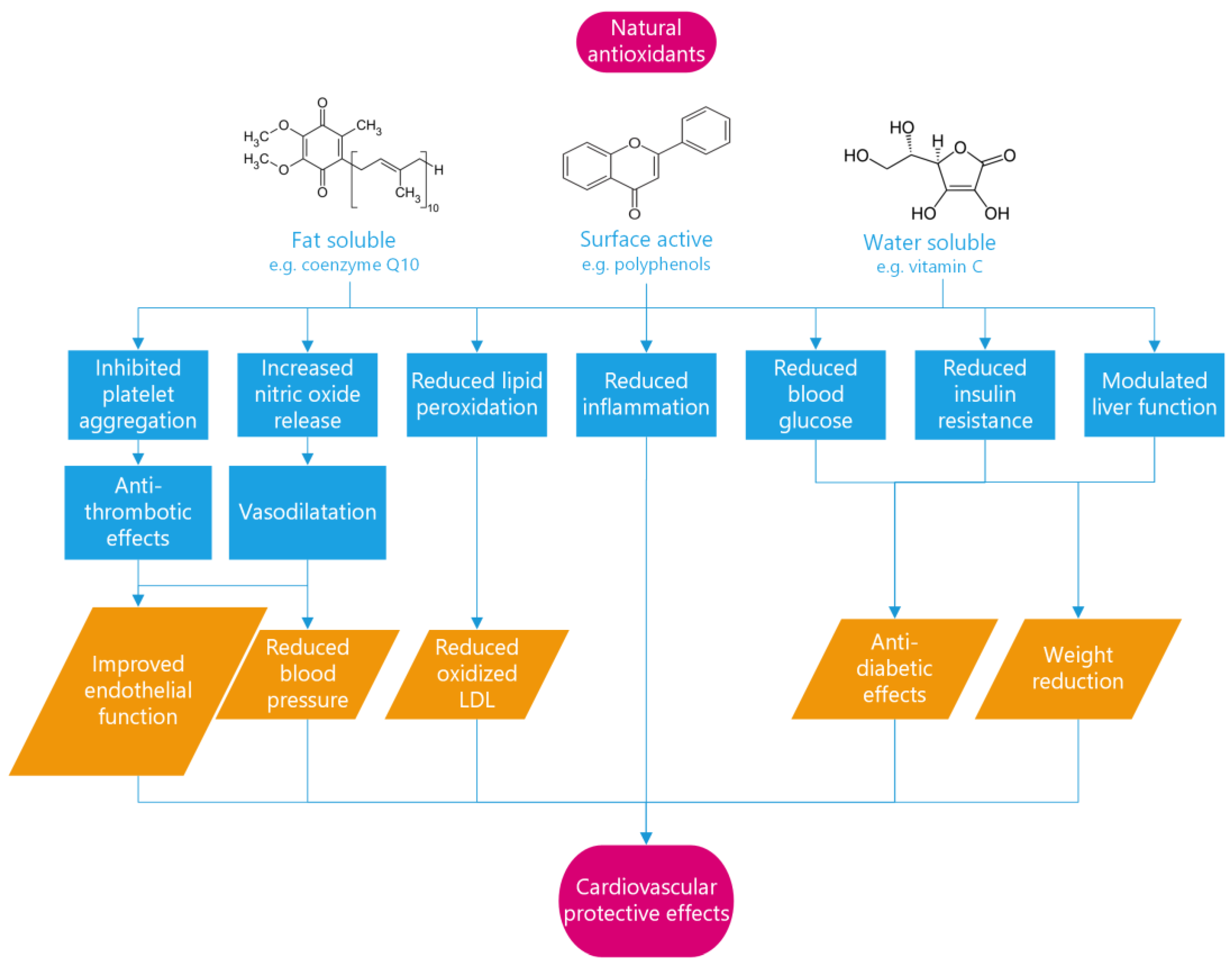 Metabolites 13 00712 g004