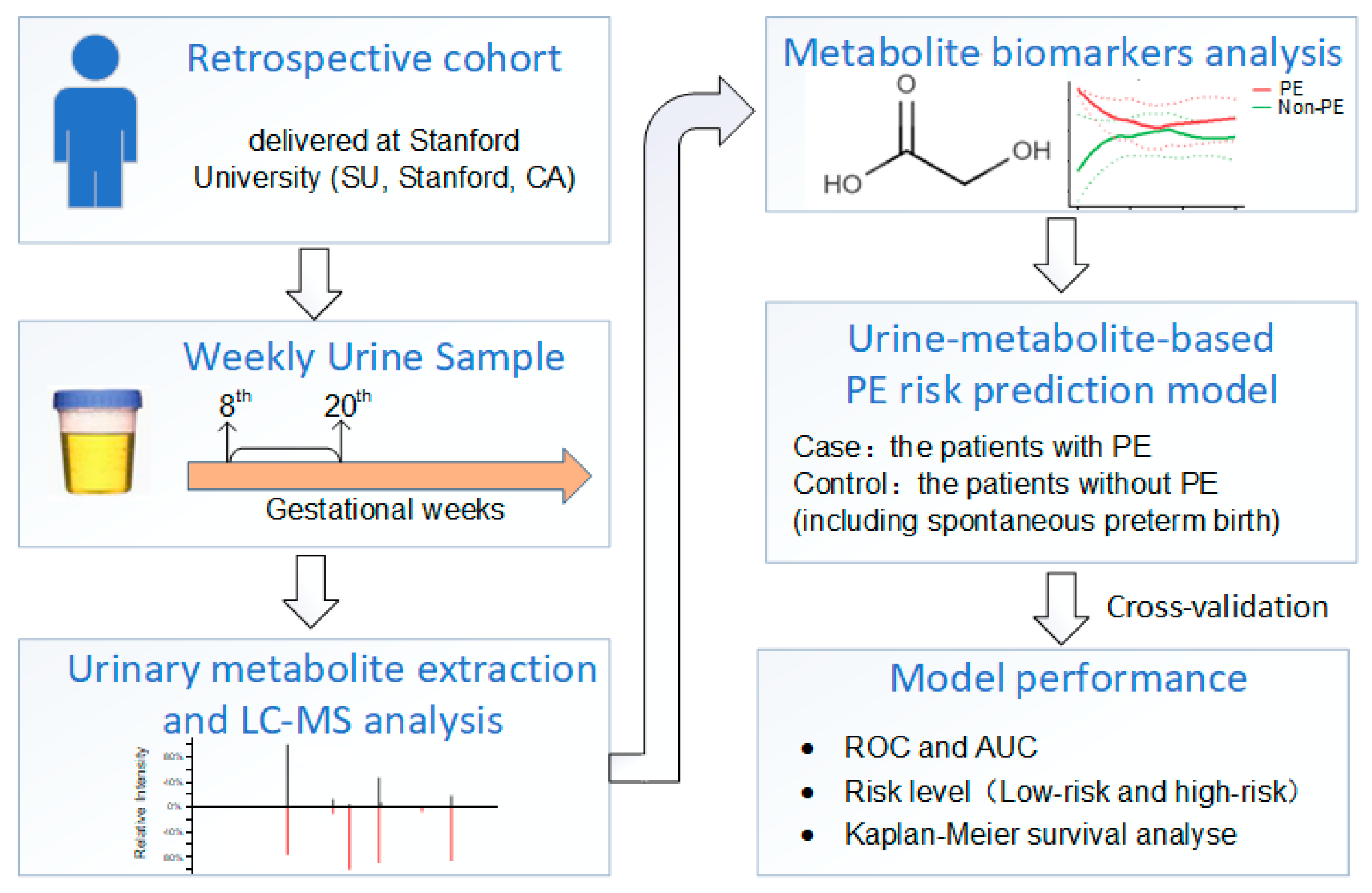 Metabolites 13 00715 g002