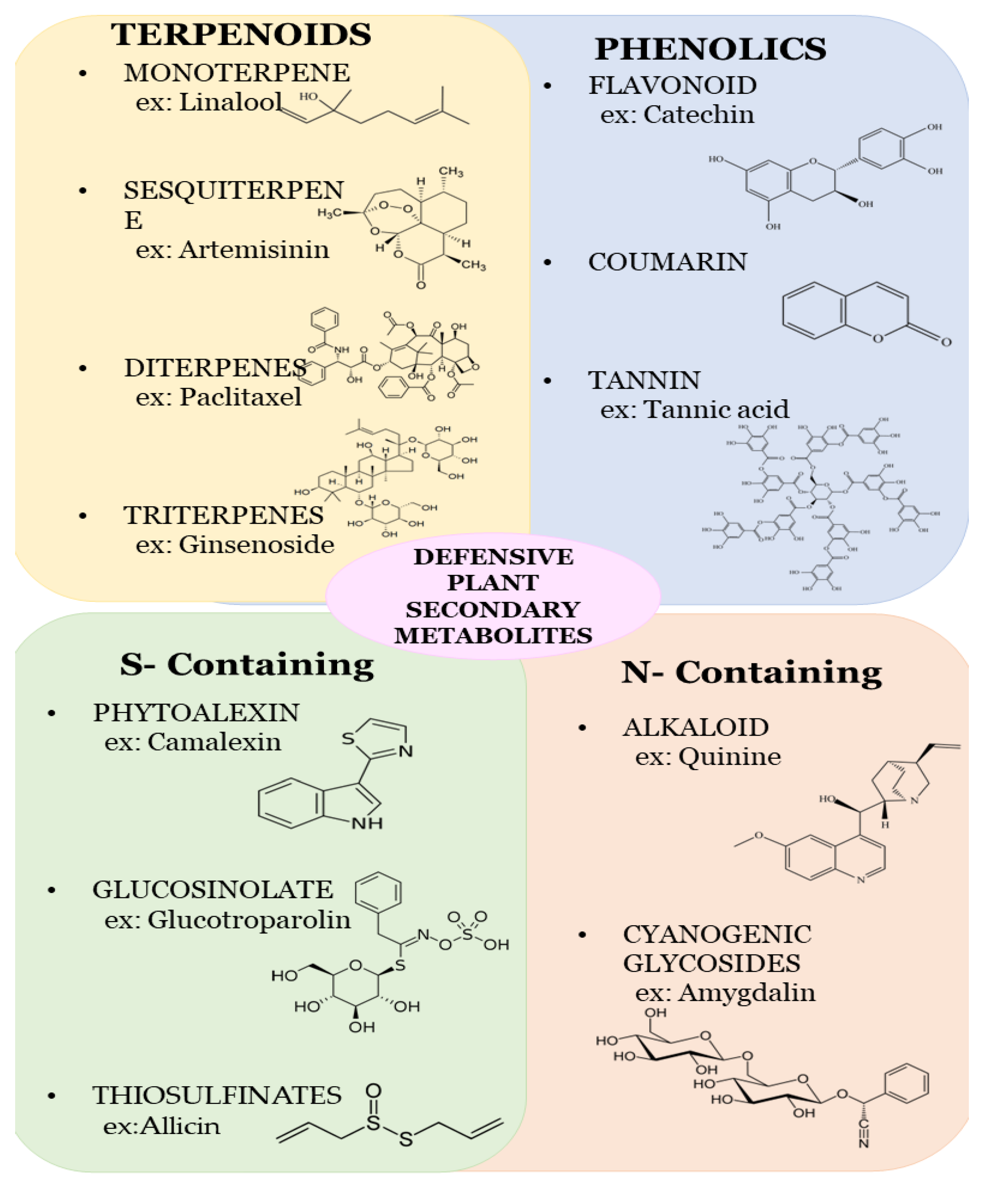 Metabolites 13 00716 g001