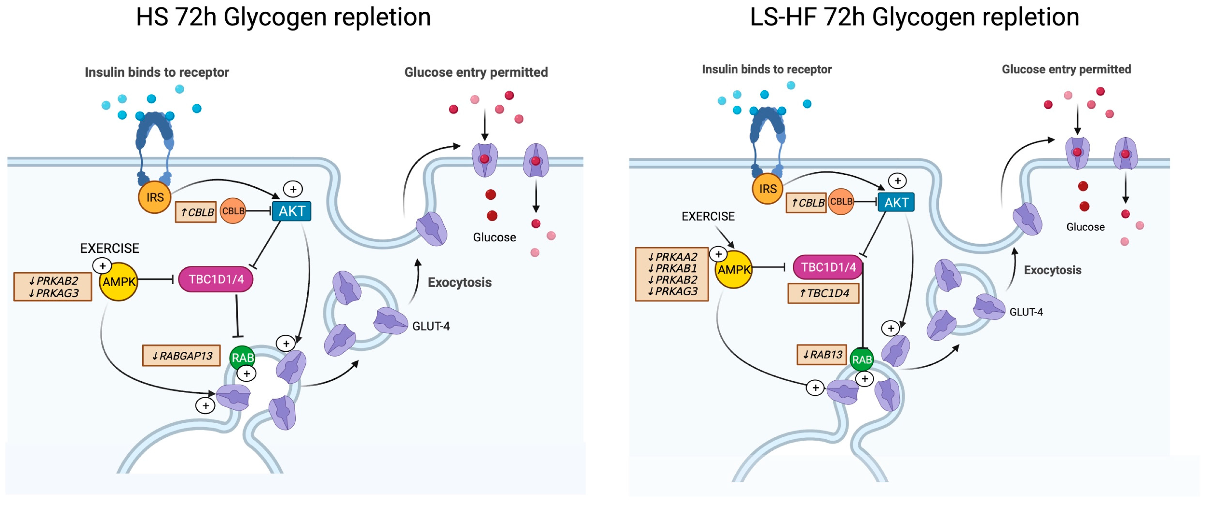 Metabolites 13 00718 g003