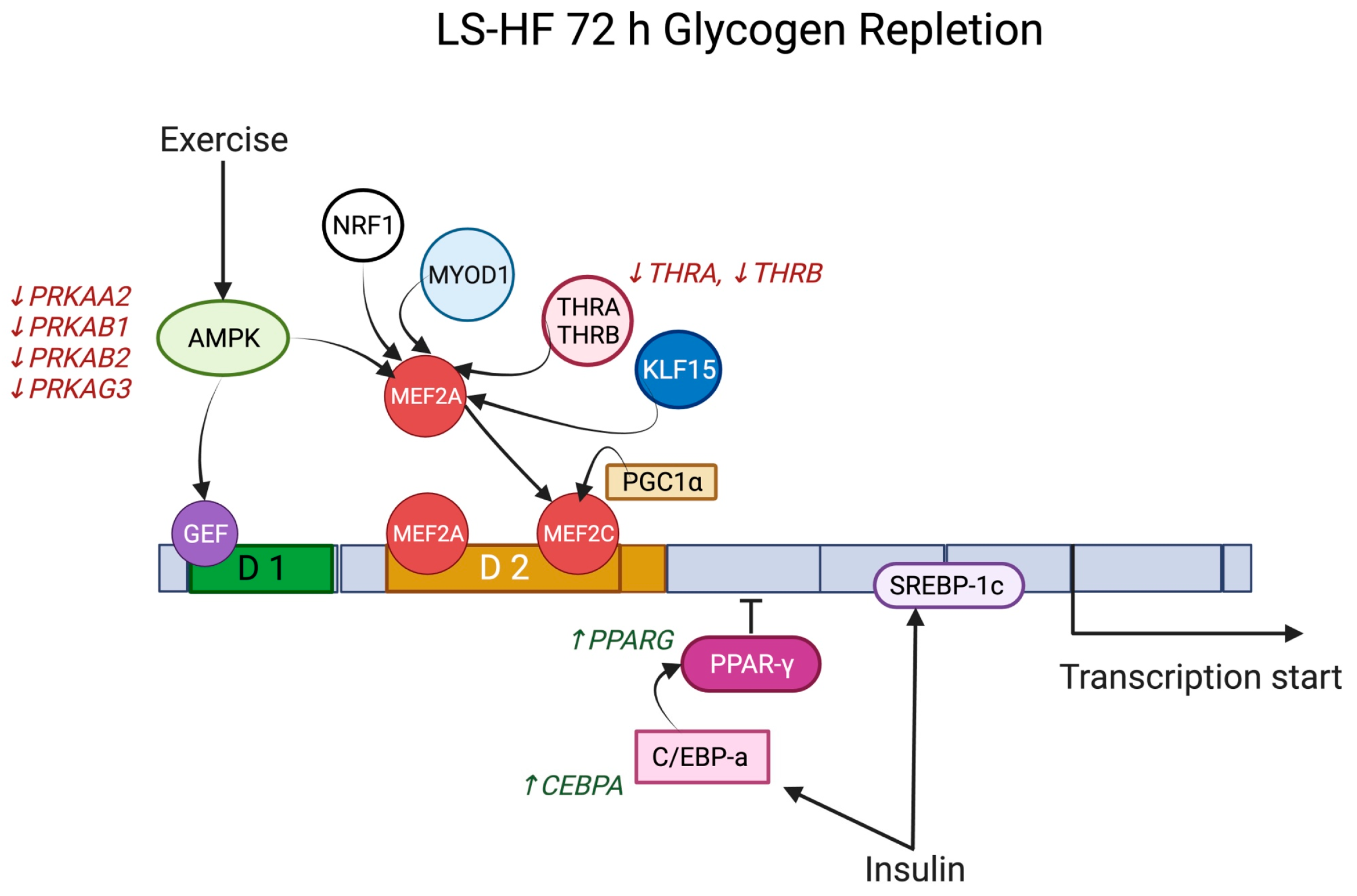 Metabolites 13 00718 g004