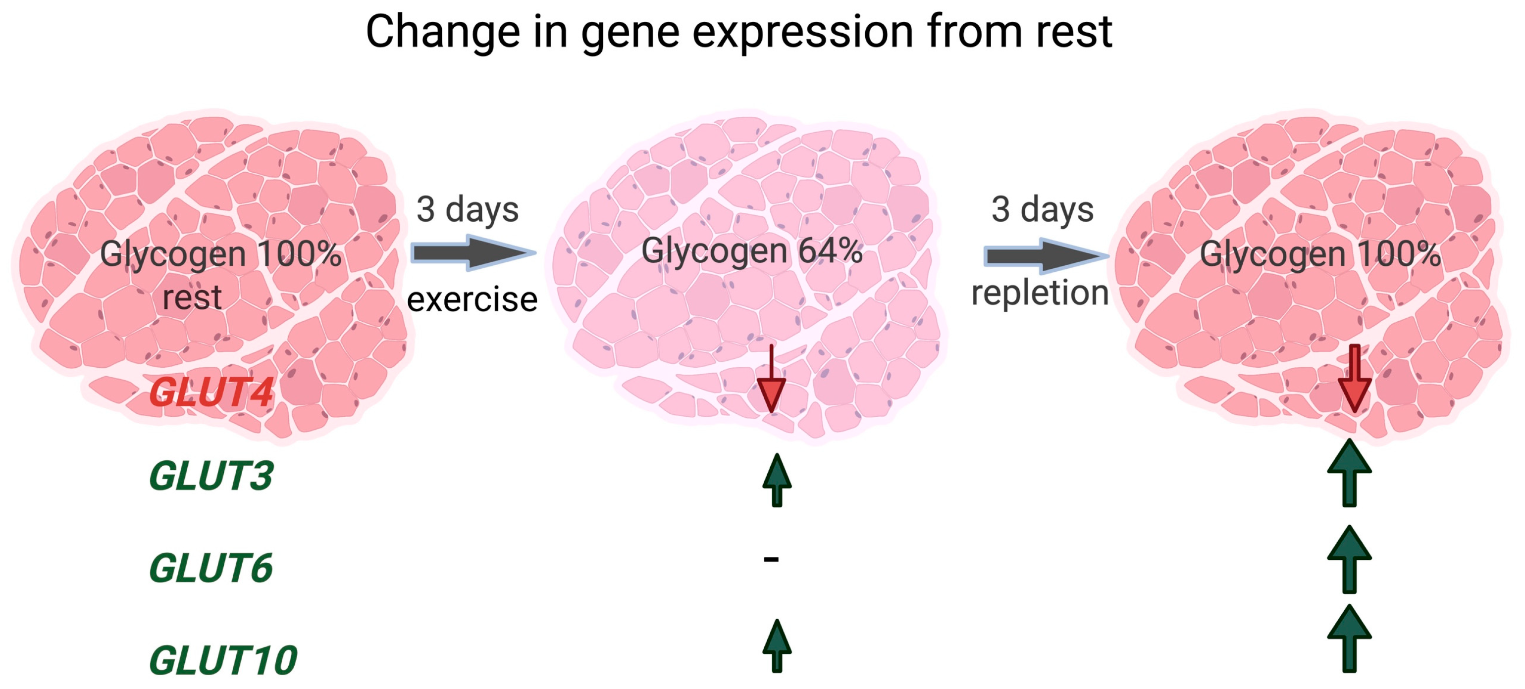 Metabolites 13 00718 g006