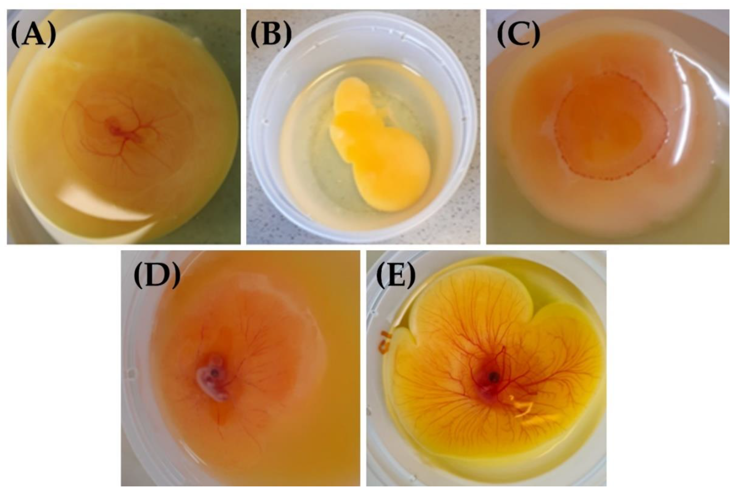 Metabolites 13 00721 g001