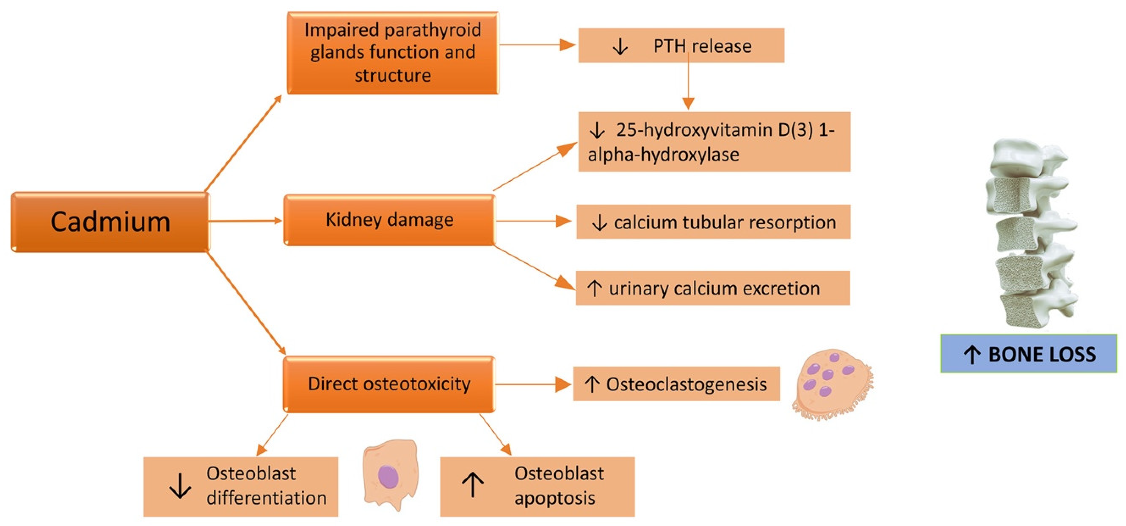 Metabolites 13 00722 g002