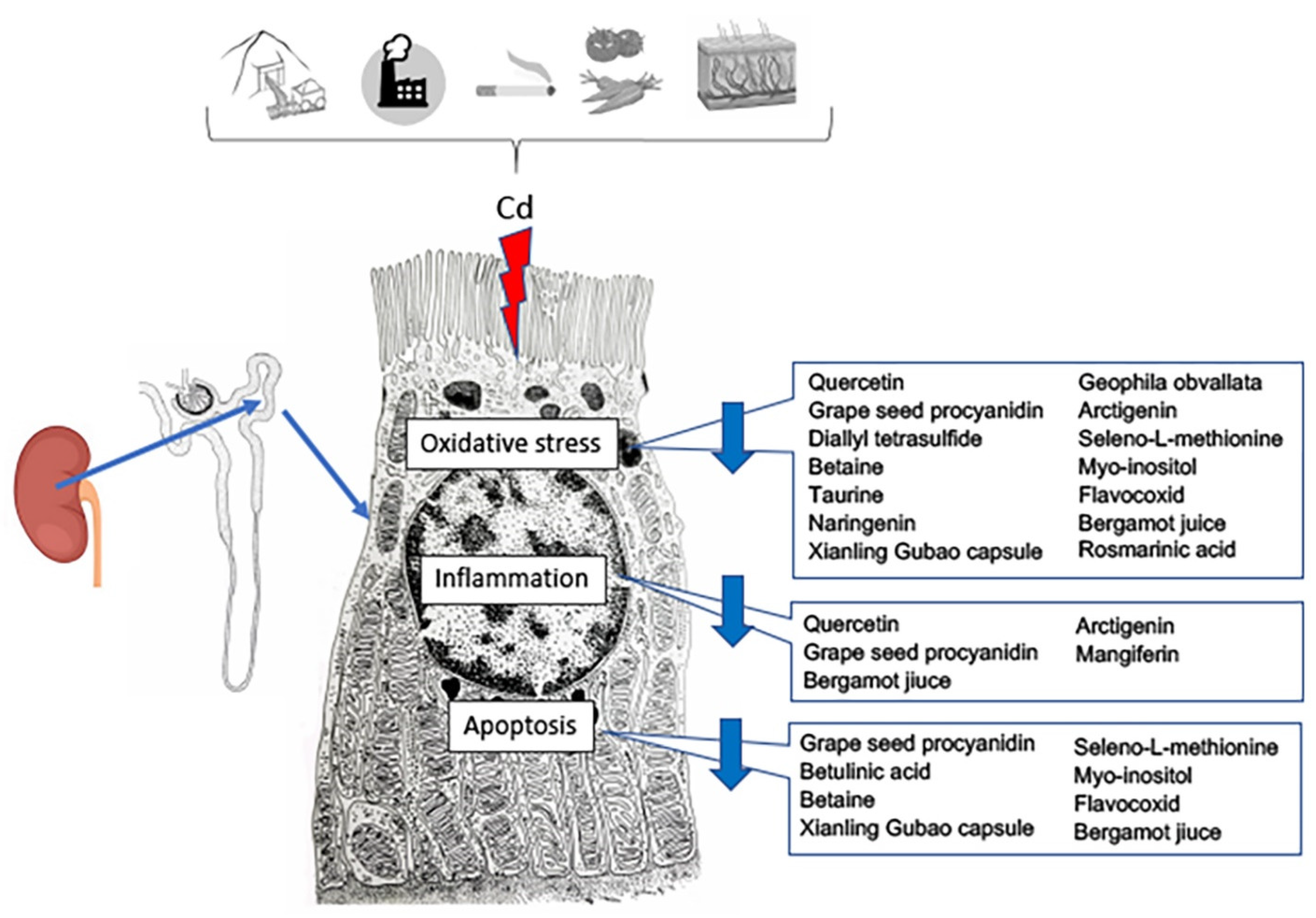 Metabolites 13 00722 g003