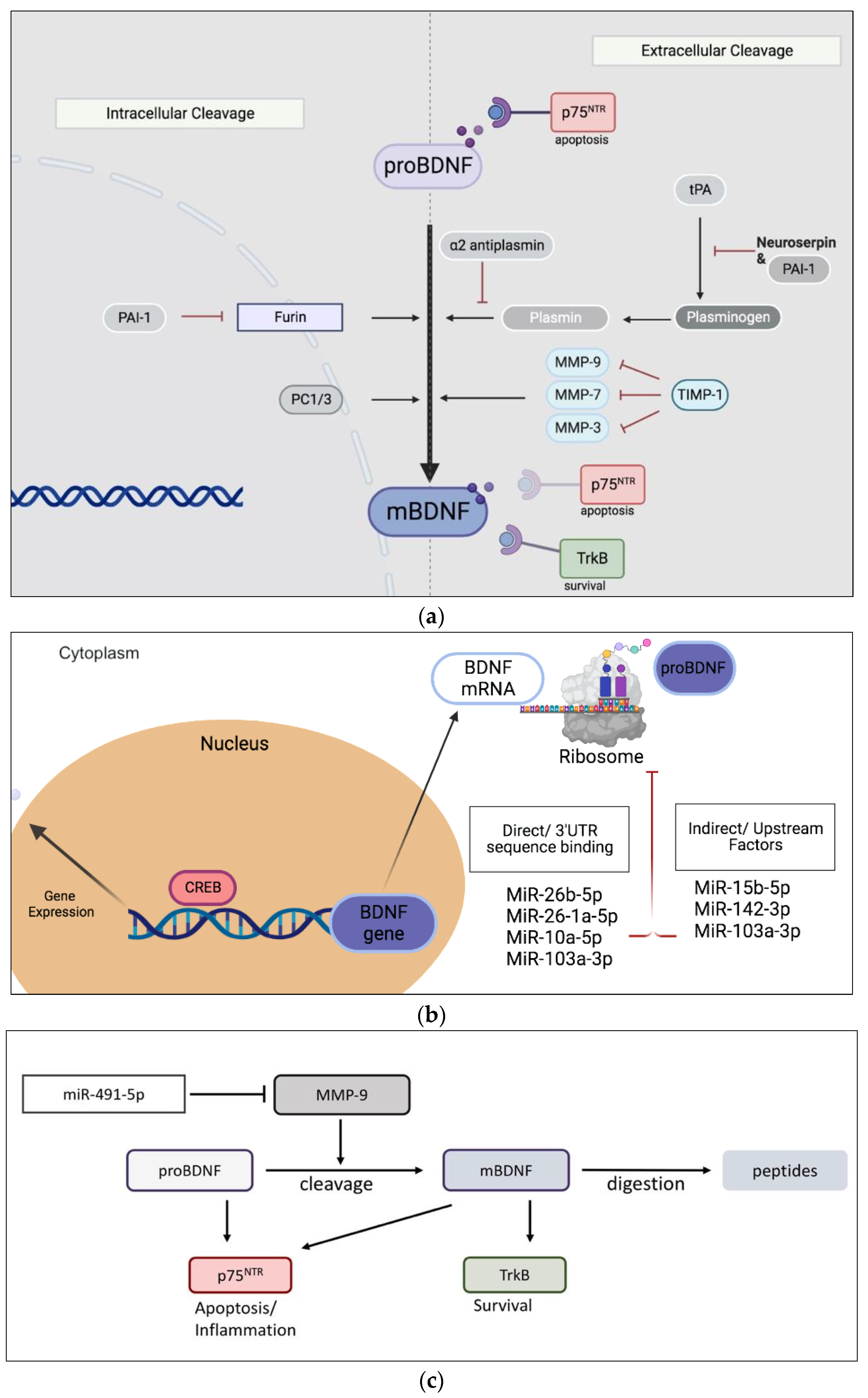 Metabolites 13 00723 g001