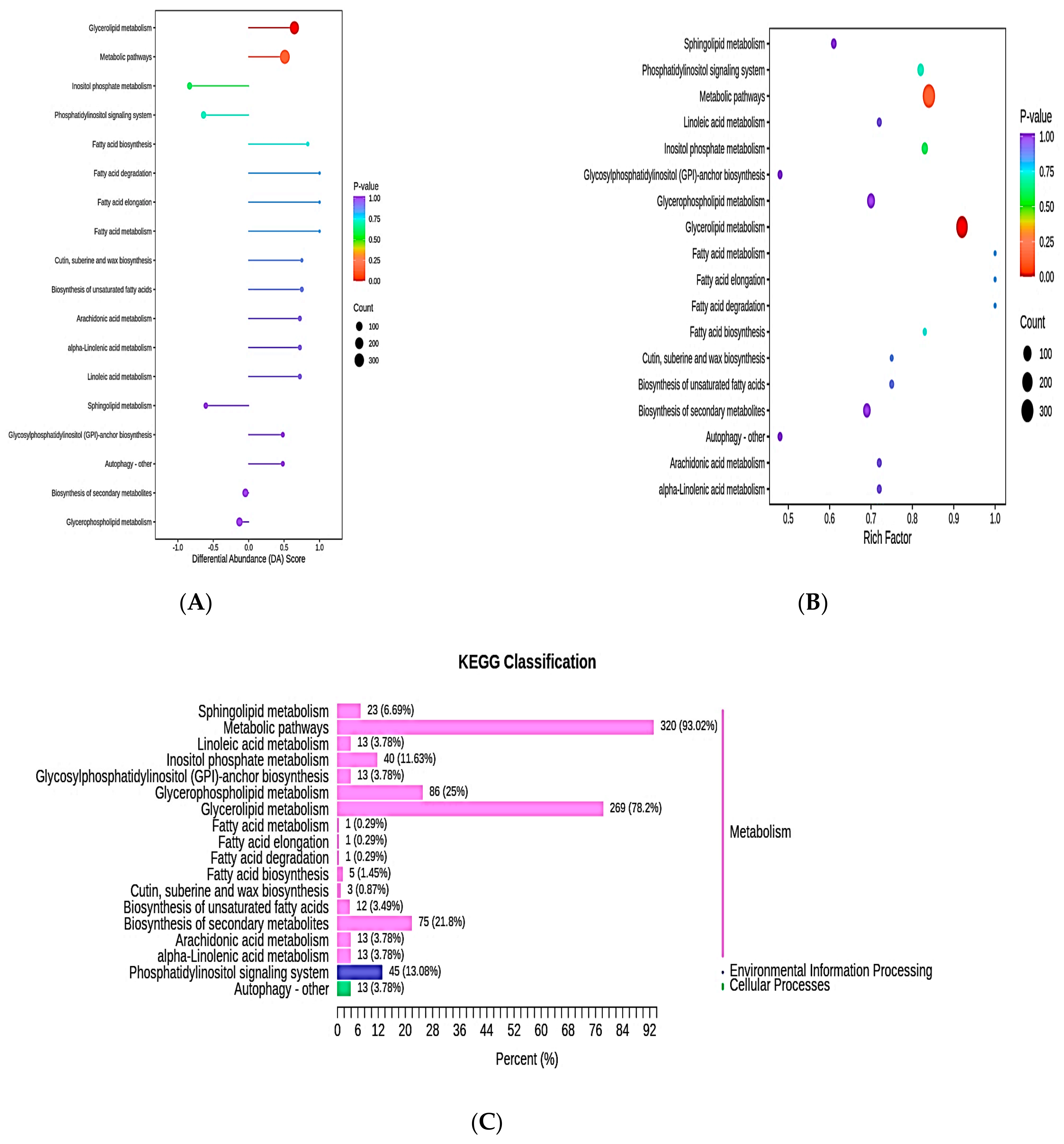 Metabolites 13 00727 g006 Metabolites 13 00727 g006