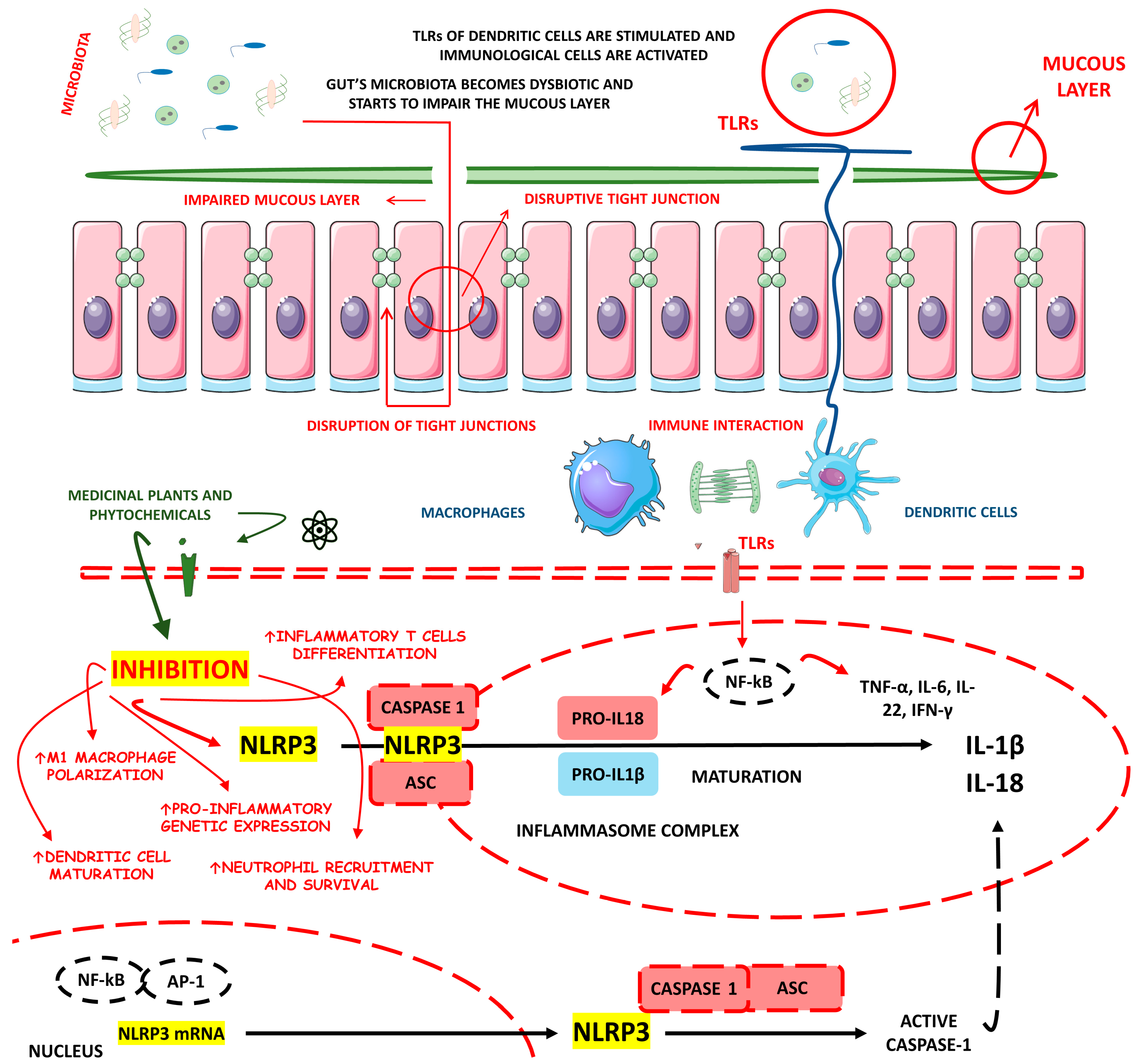Metabolites 13 00728 g001