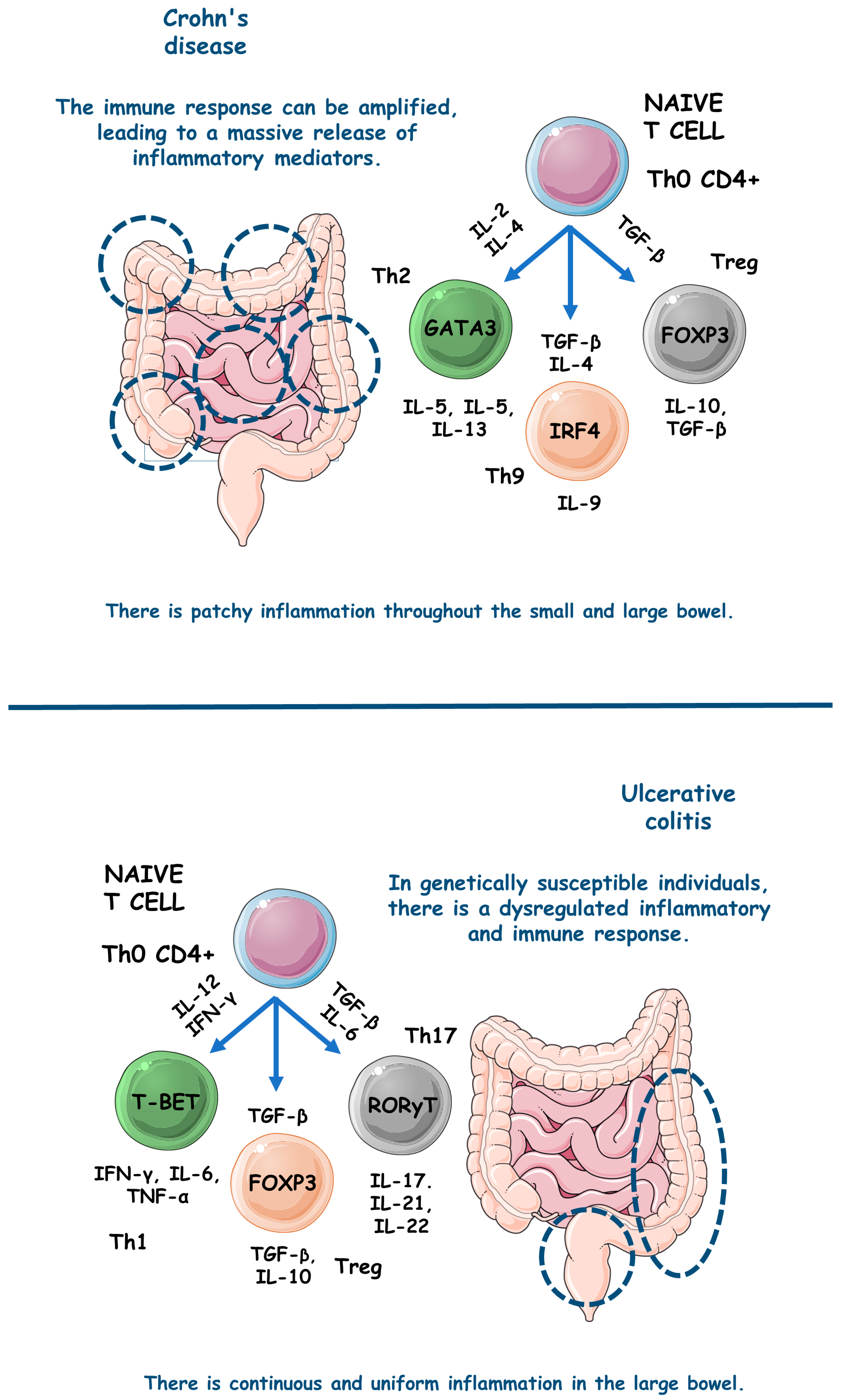 Metabolites 13 00728 g003