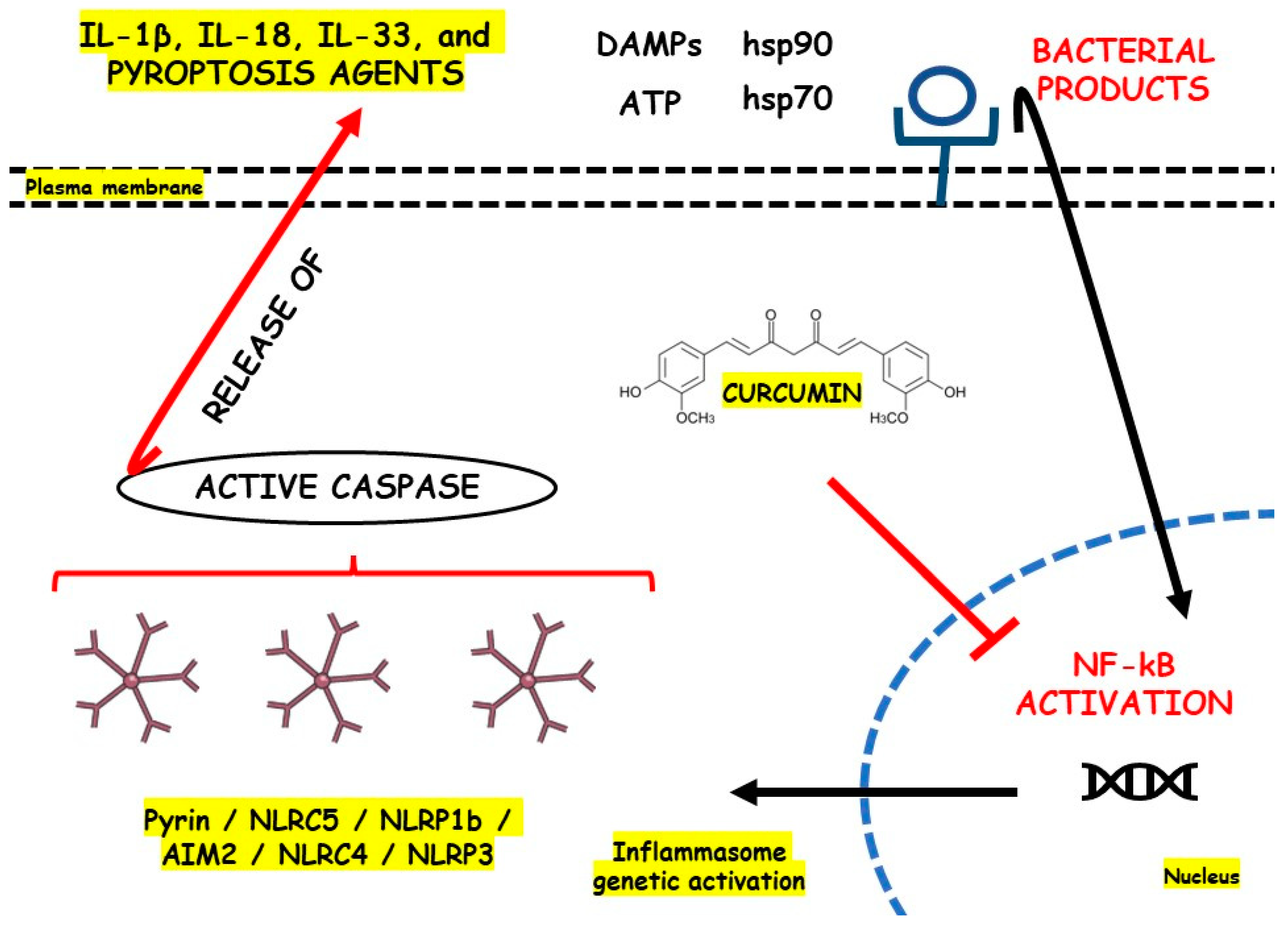 Metabolites 13 00728 g004