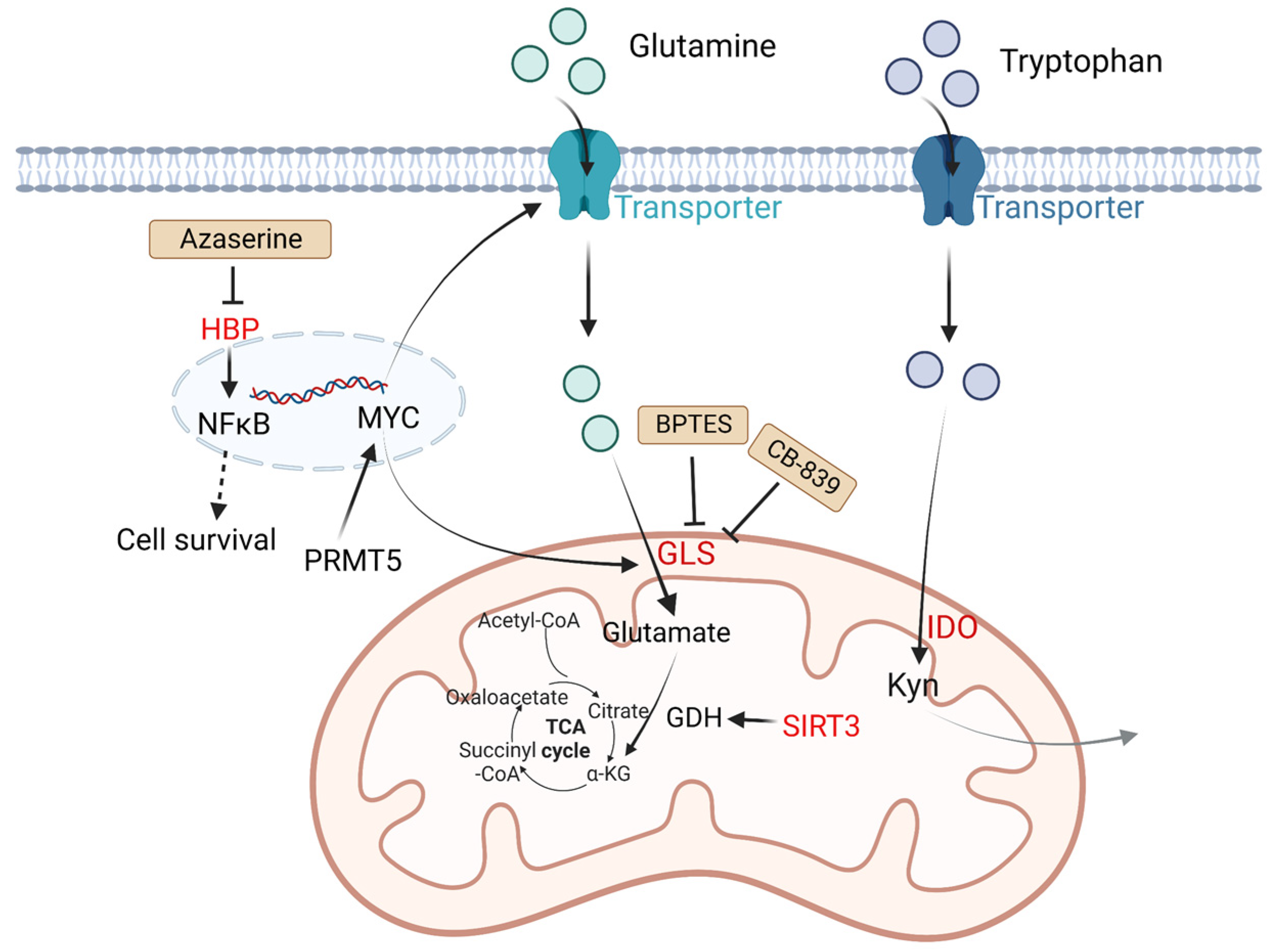 Metabolites 13 00734 g002