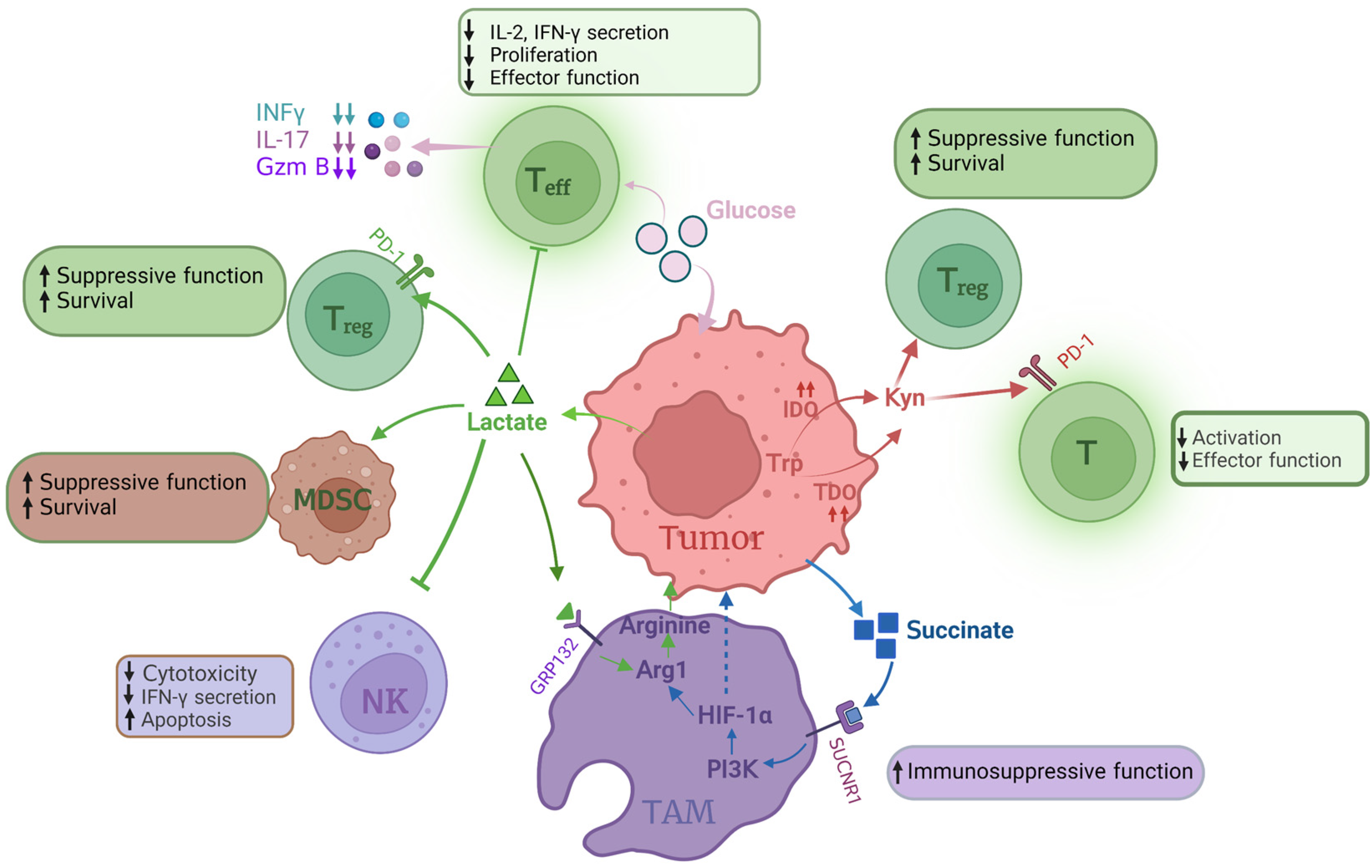 Metabolites 13 00734 g004