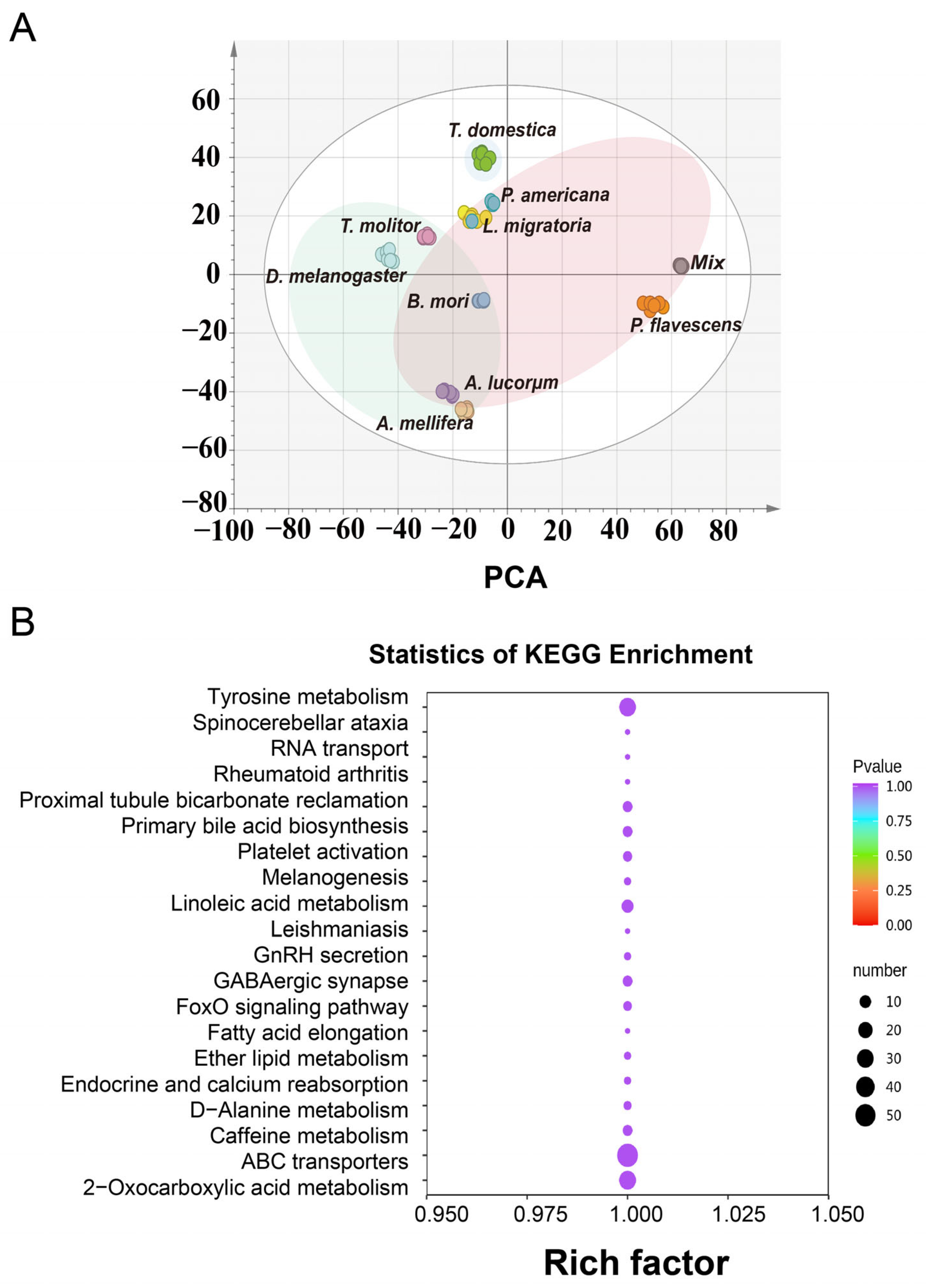 Metabolites 13 00735 g002