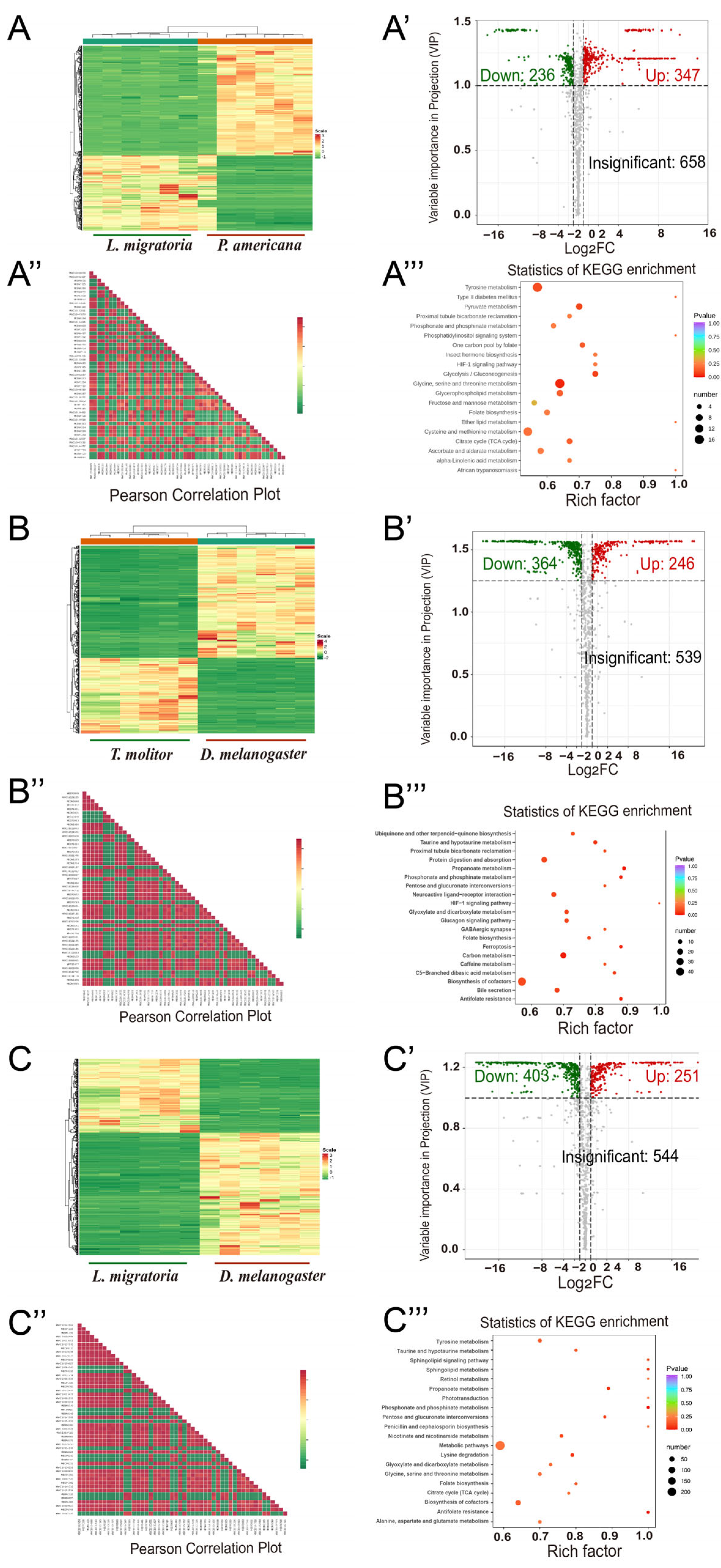 Metabolites 13 00735 g008