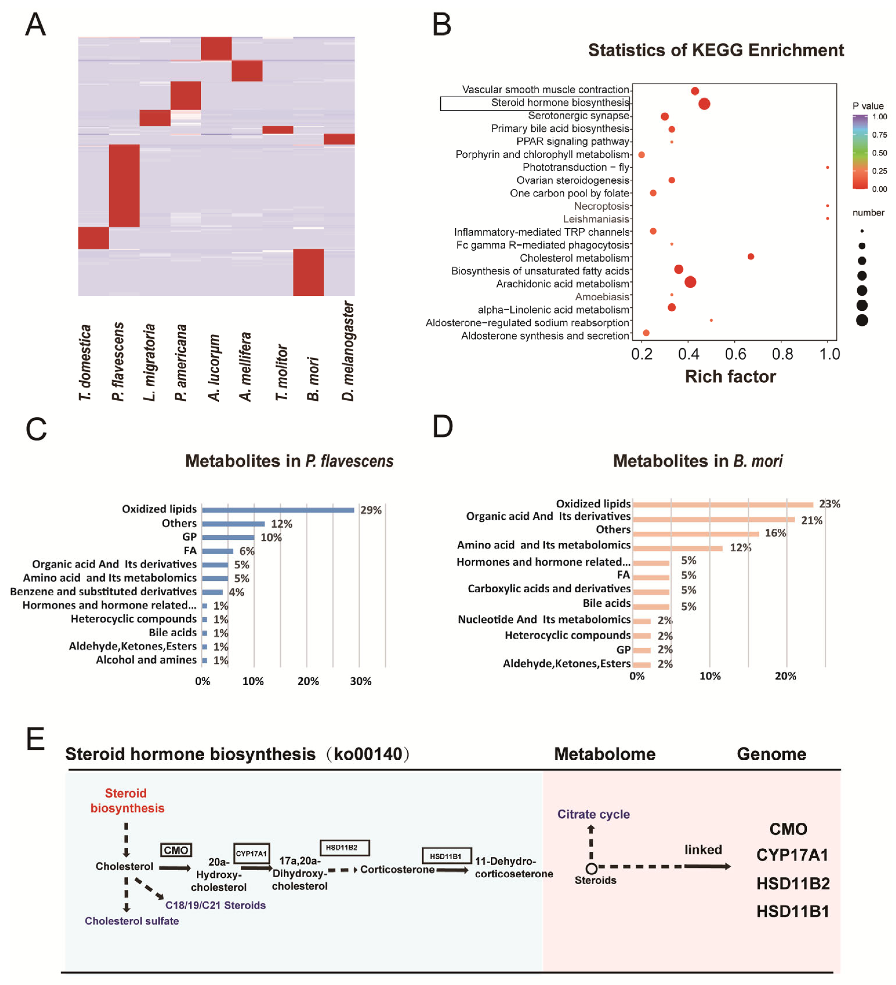 Metabolites 13 00735 g010