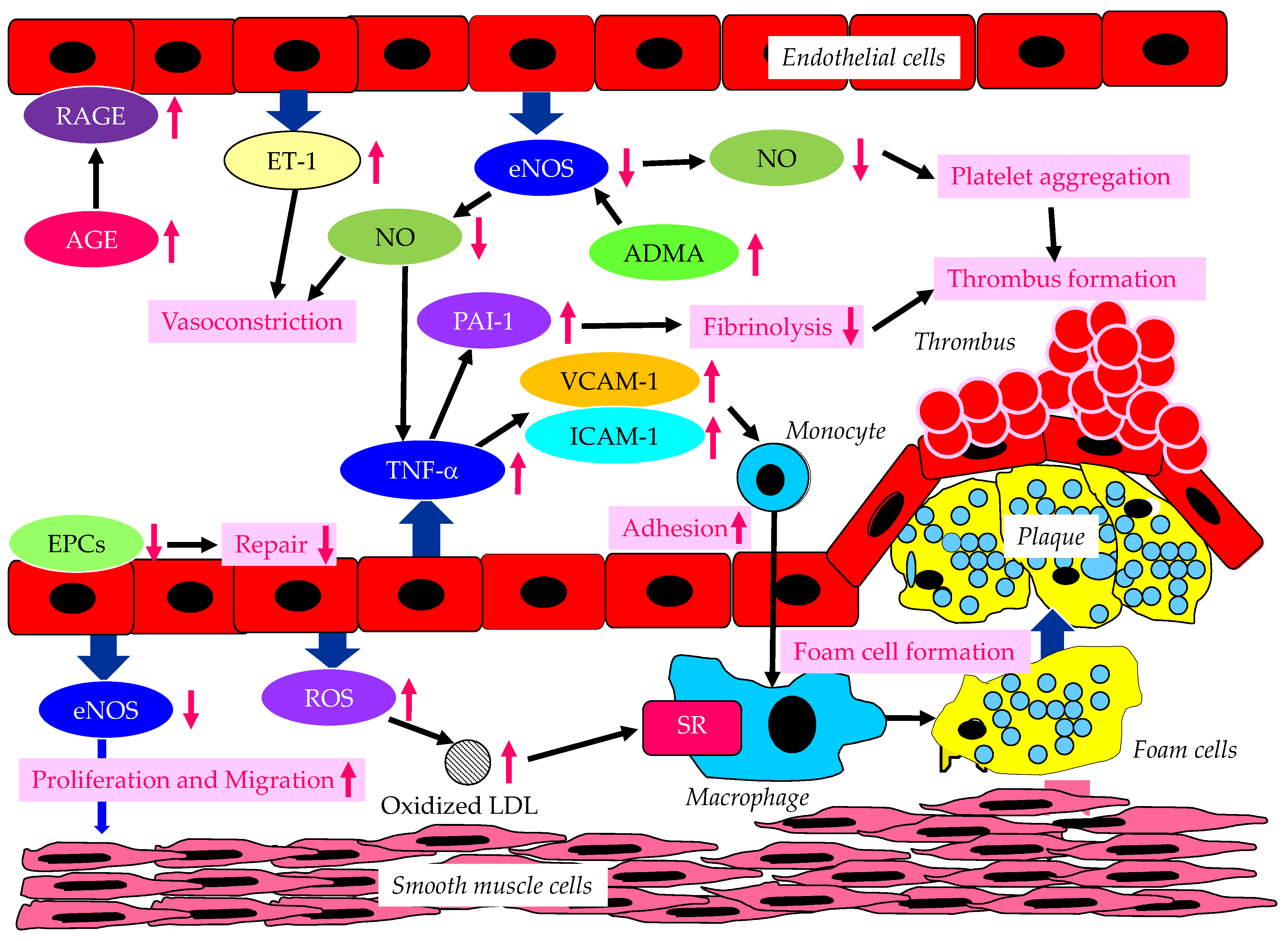 Metabolites 13 00736 g001