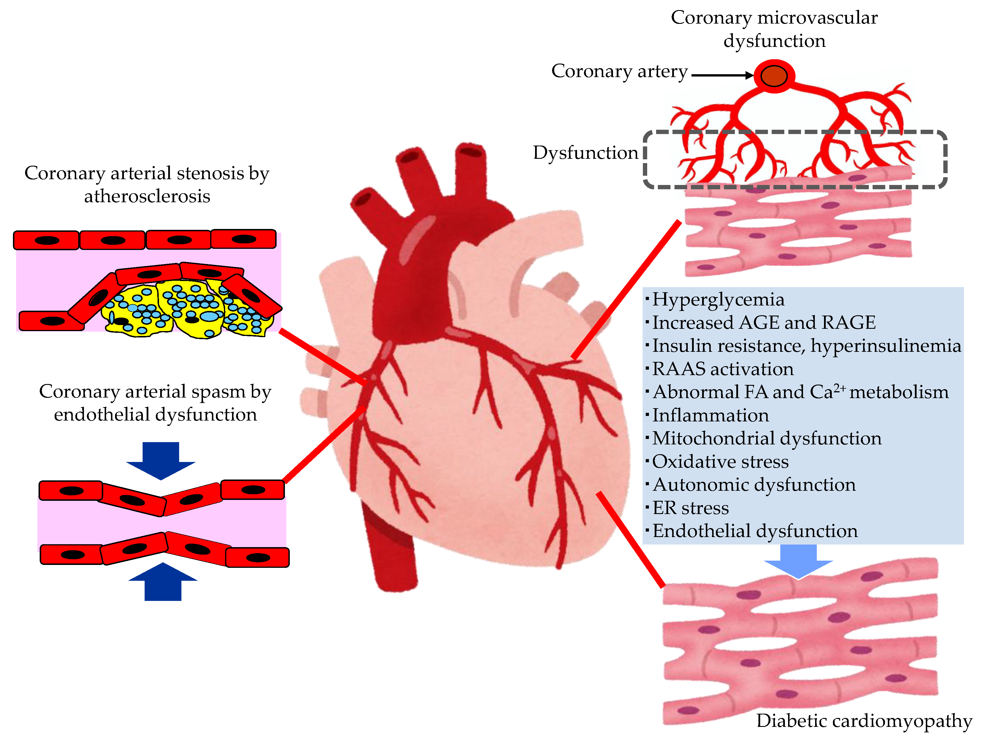 Metabolites 13 00736 g002