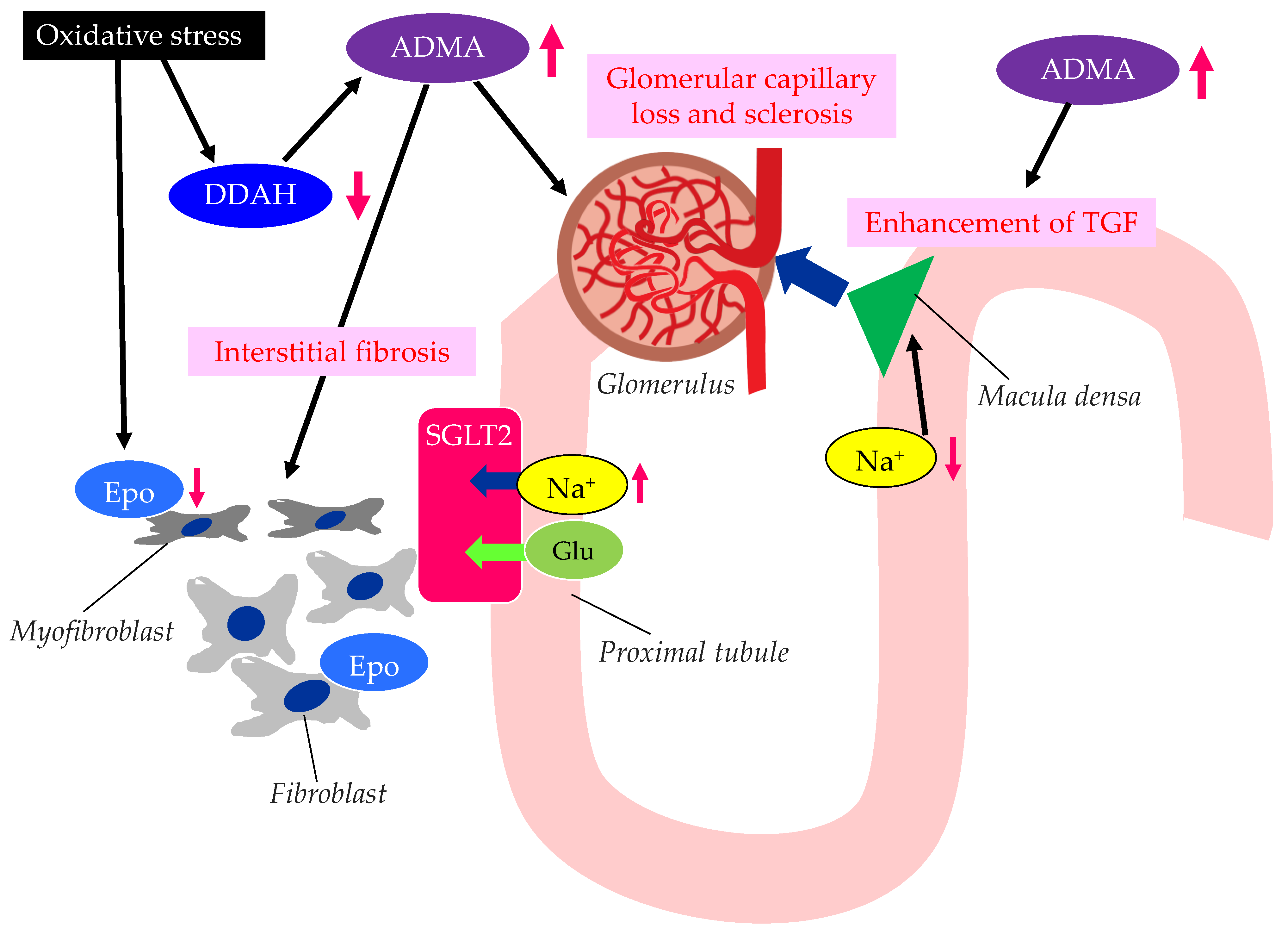 Metabolites 13 00736 g003