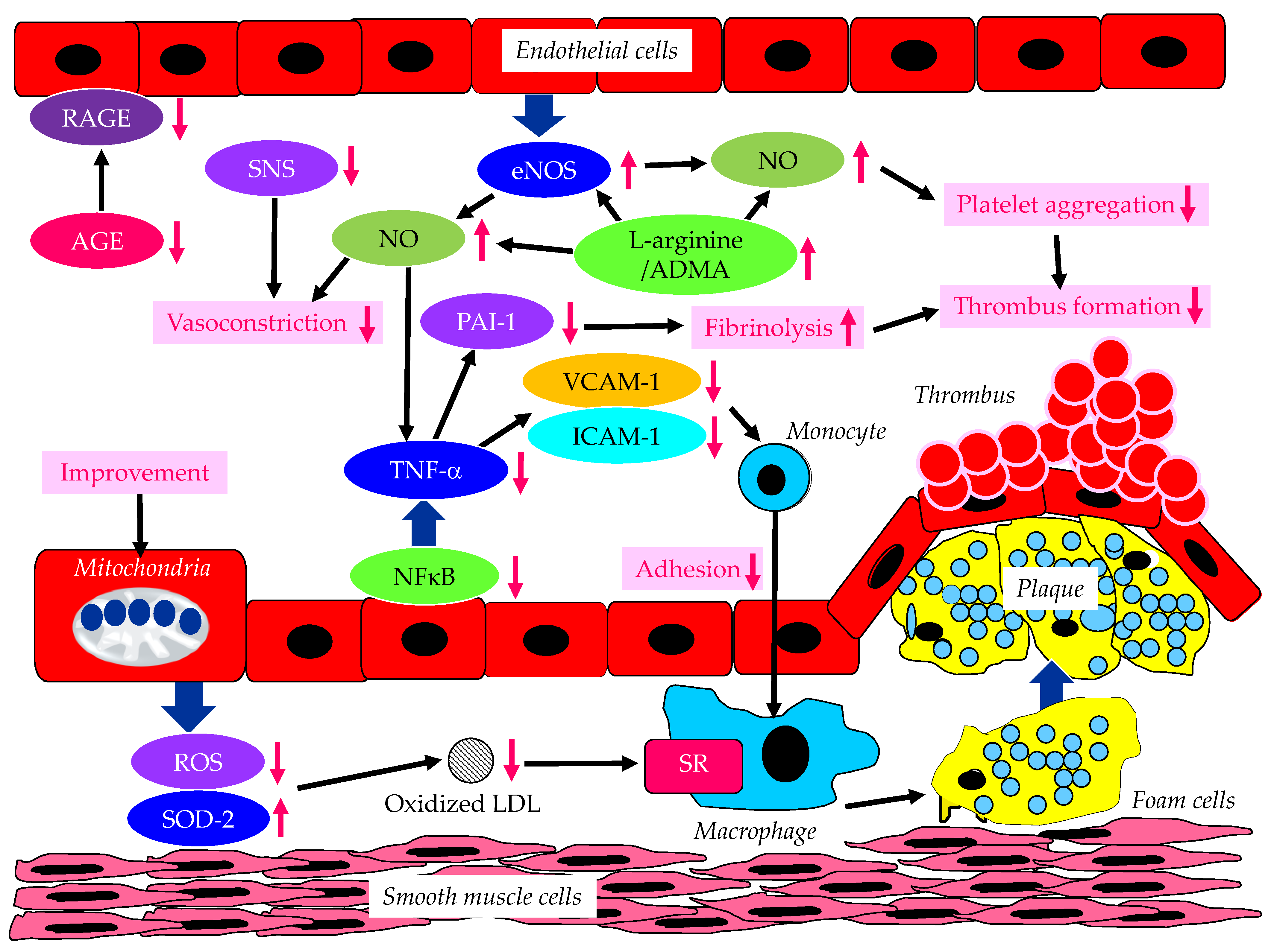 Metabolites 13 00736 g004