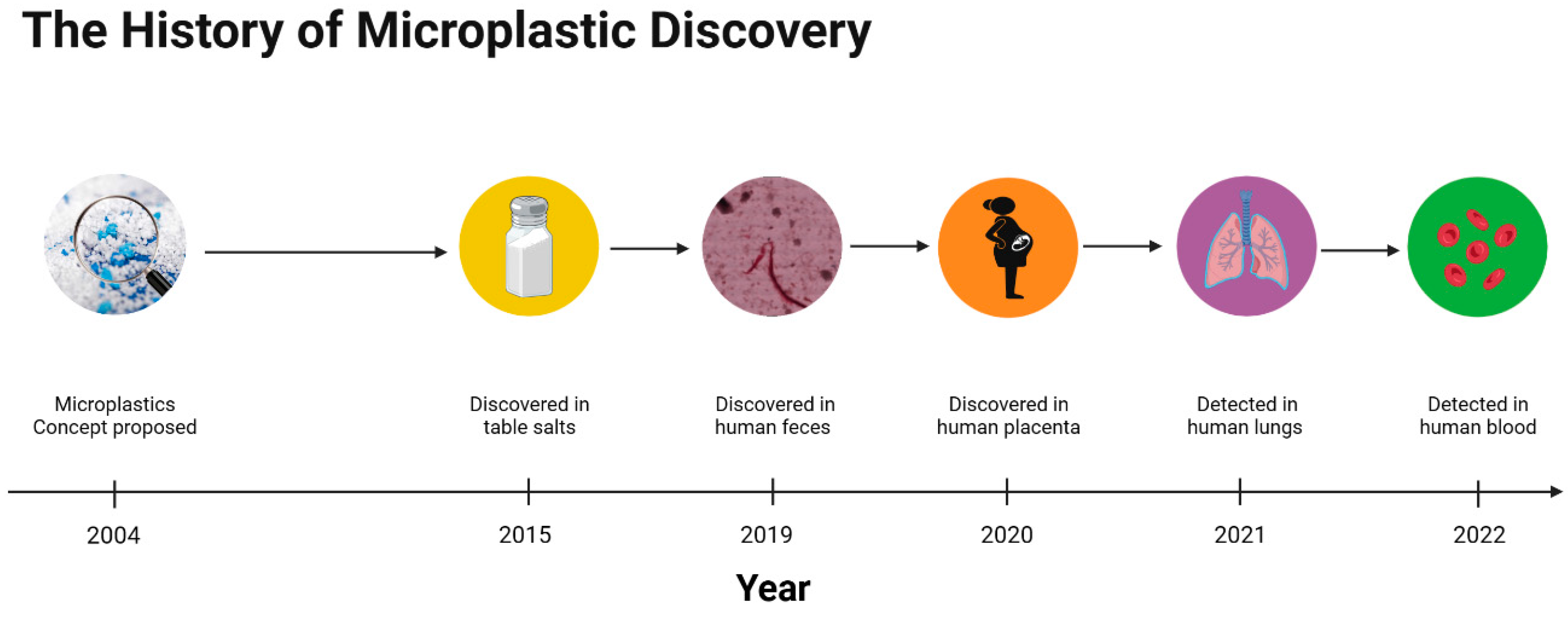 Metabolites 13 00739 g001