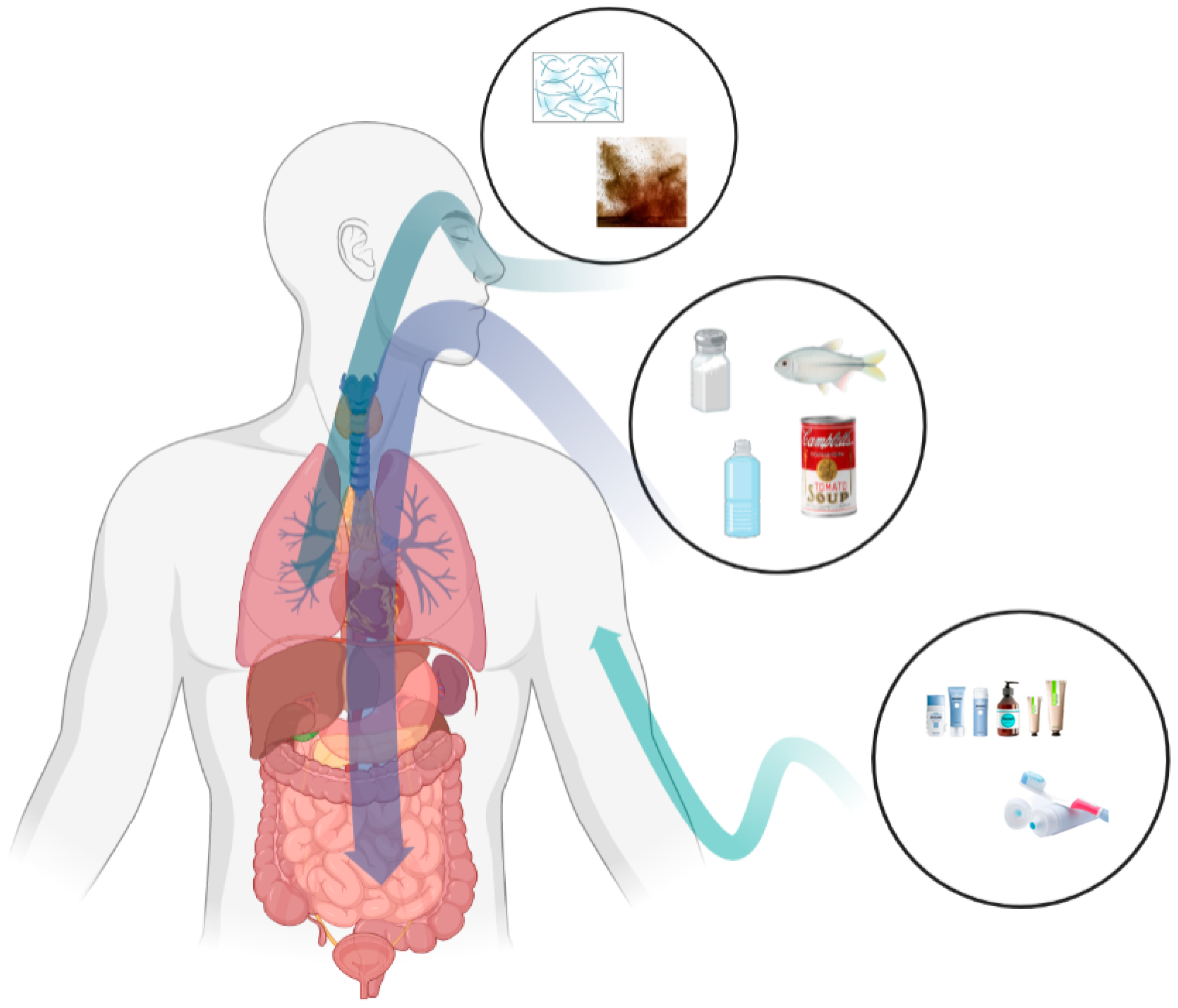 Metabolites 13 00739 g002