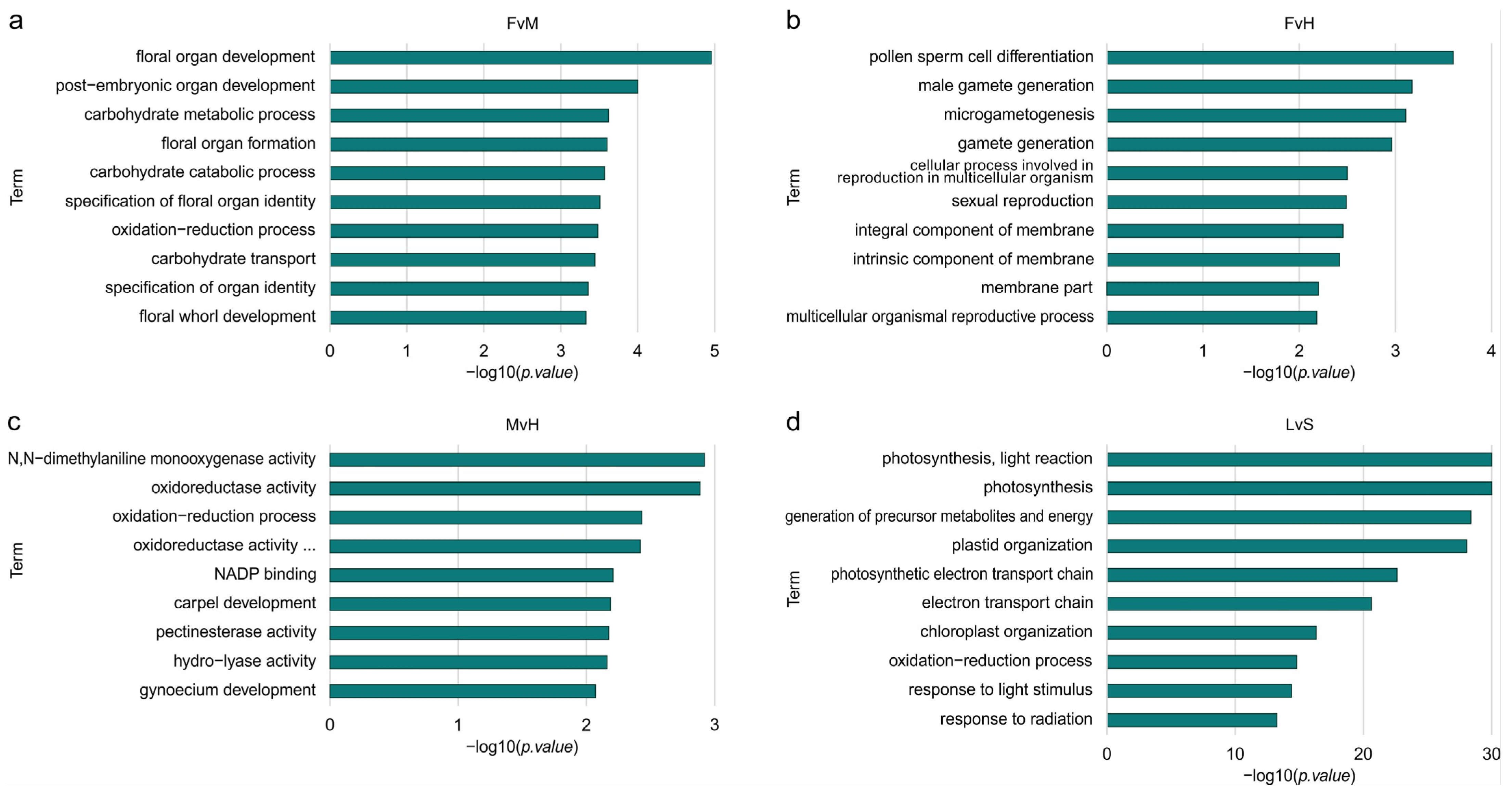 Metabolites 13 00740 g005