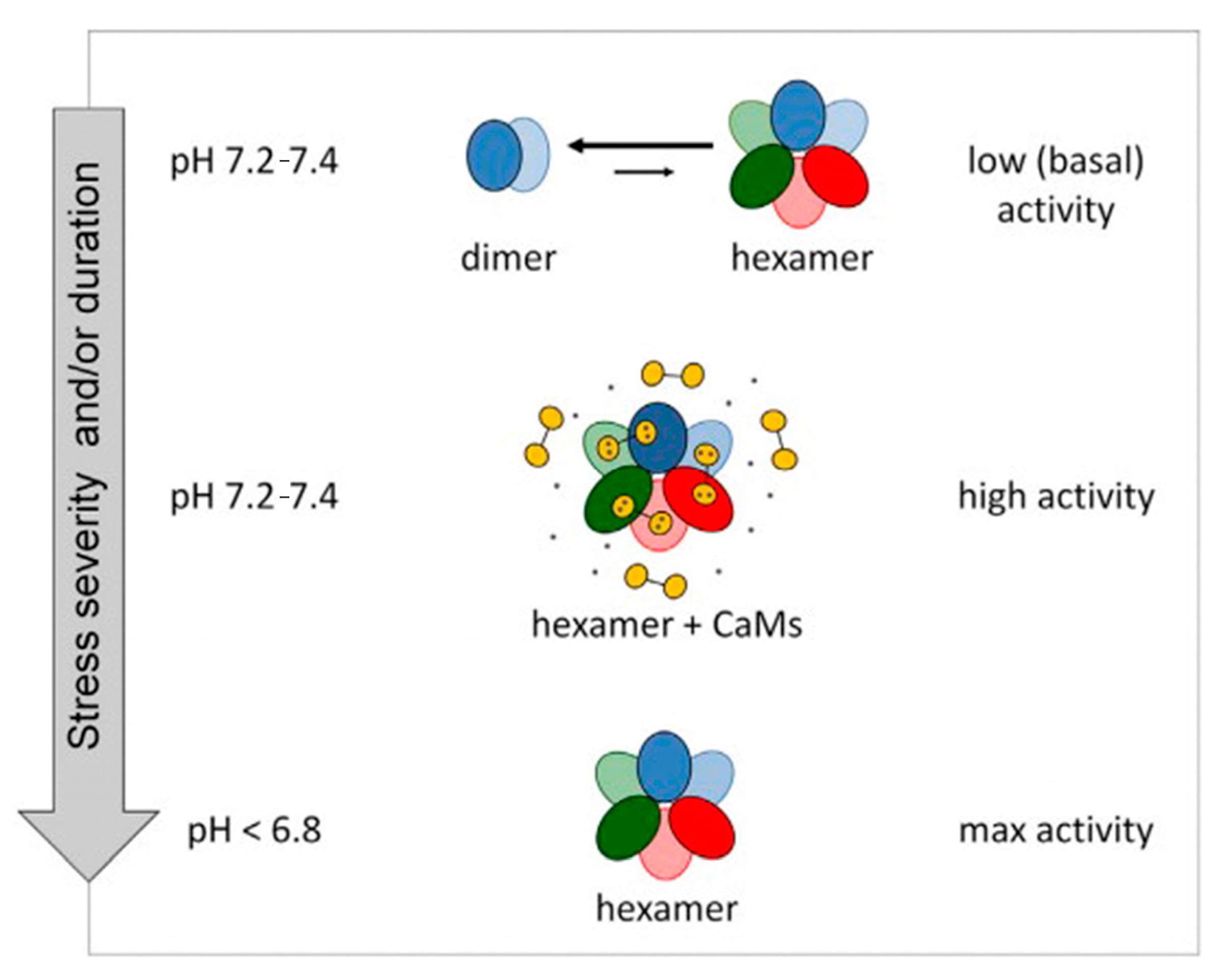 Metabolites 13 00741 g003