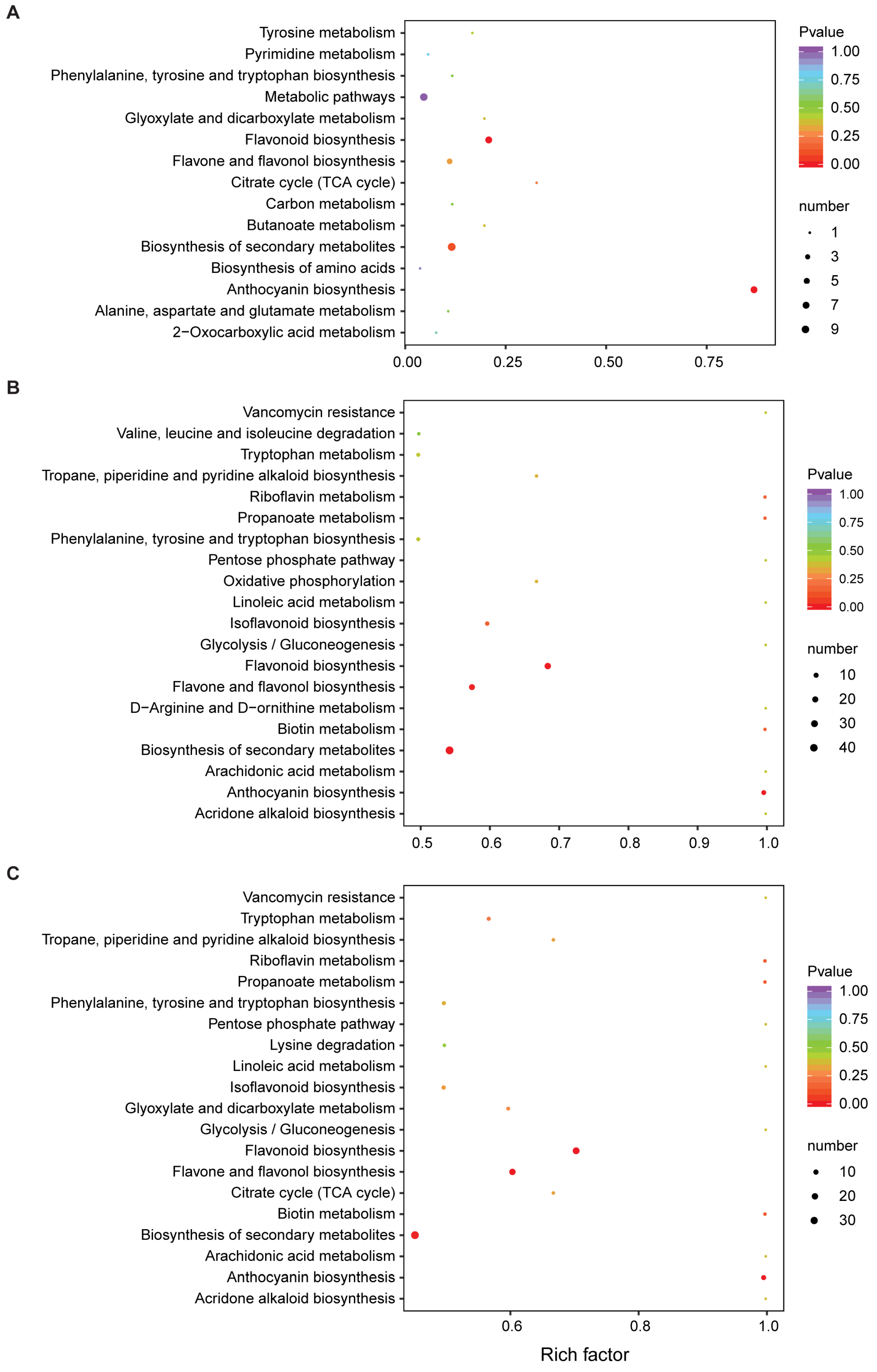 Metabolites 13 00742 g004
