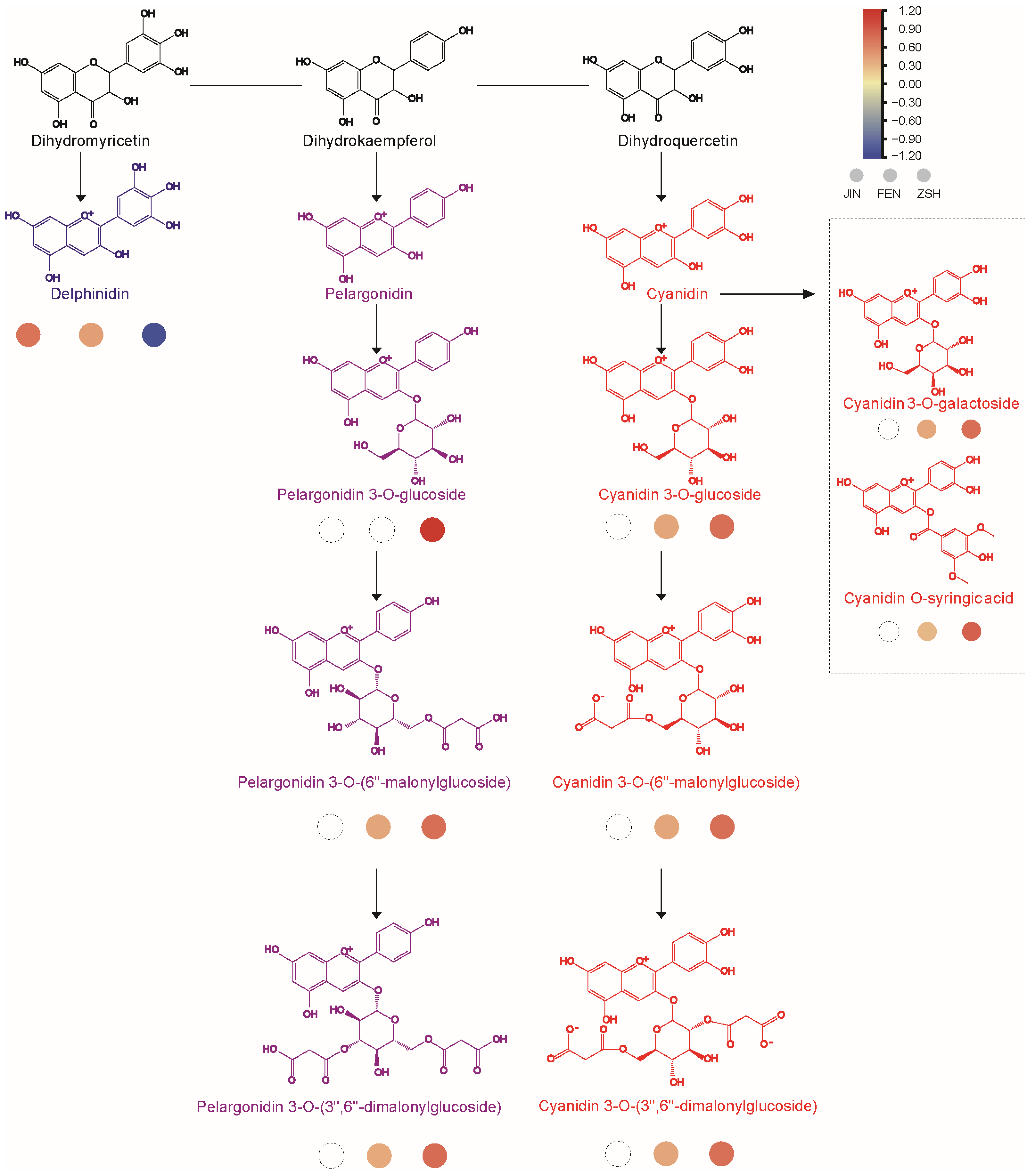 Metabolites 13 00742 g005