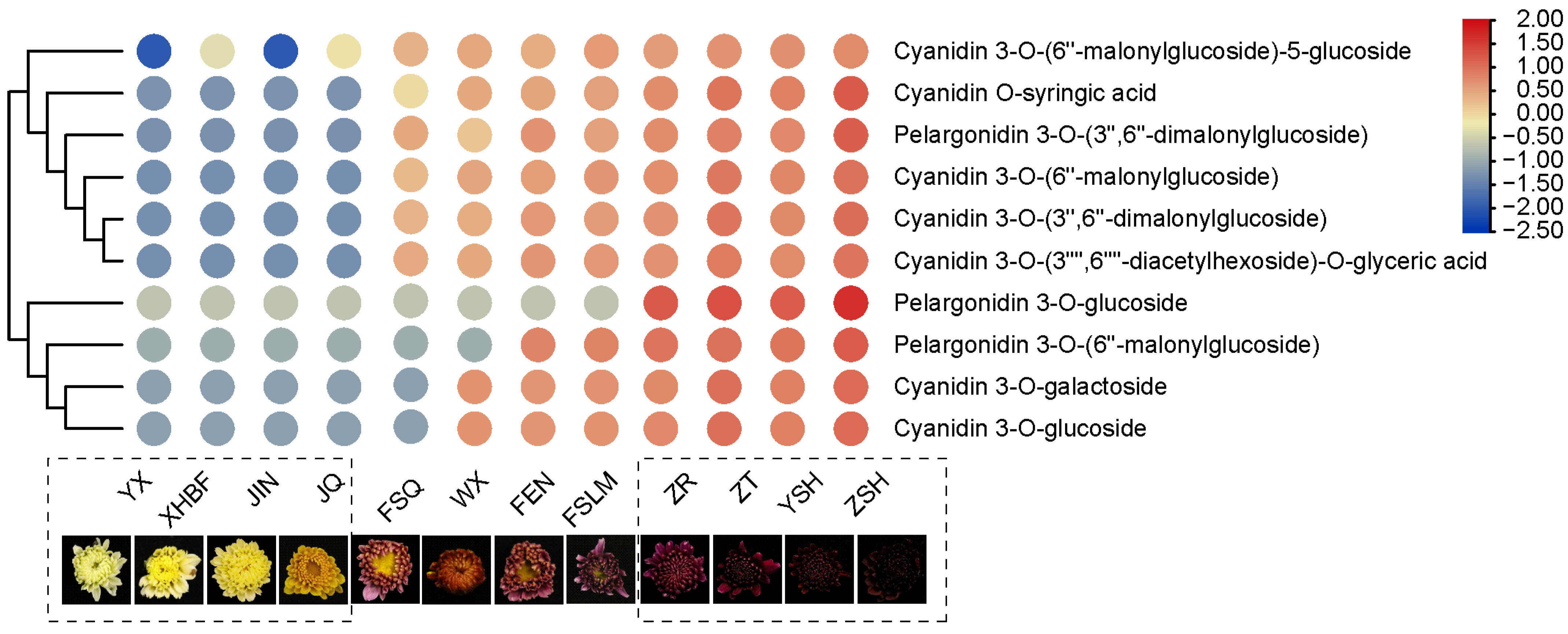 Metabolites 13 00742 g010