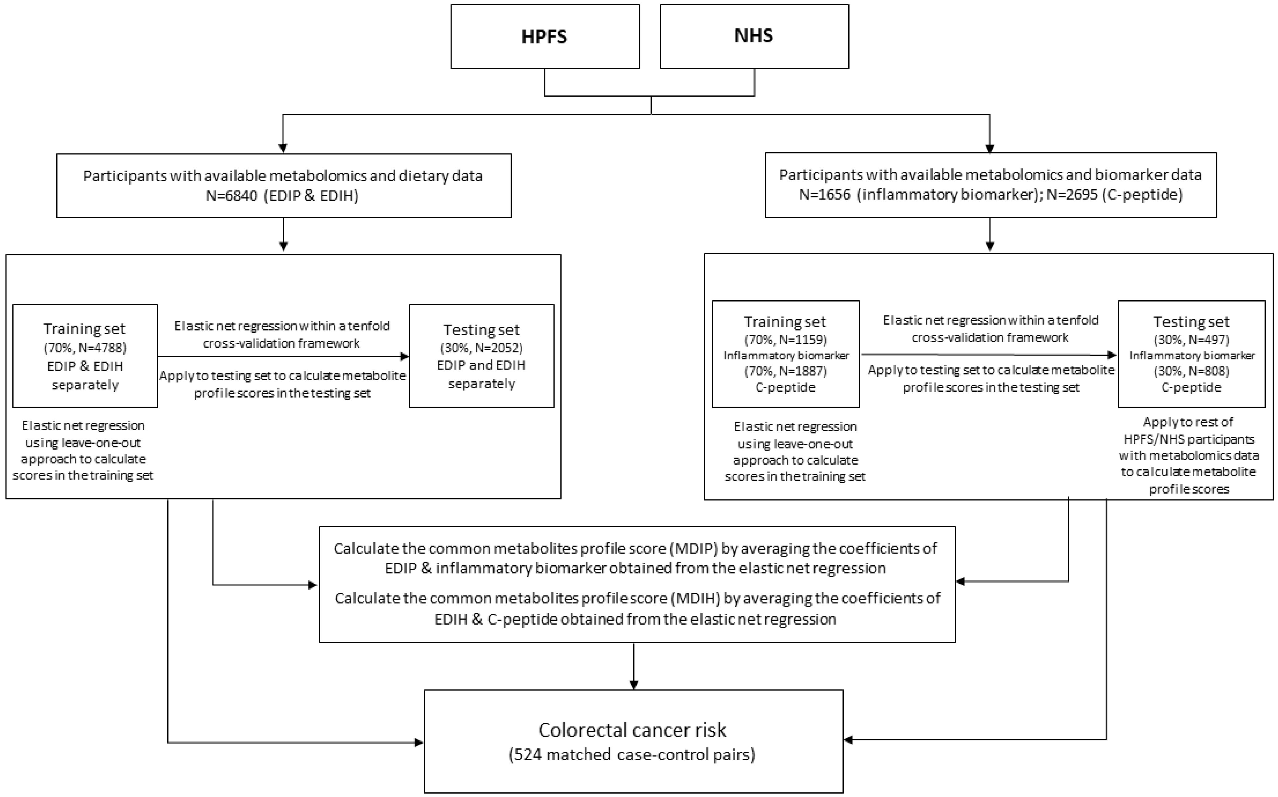 Metabolites 13 00744 g001