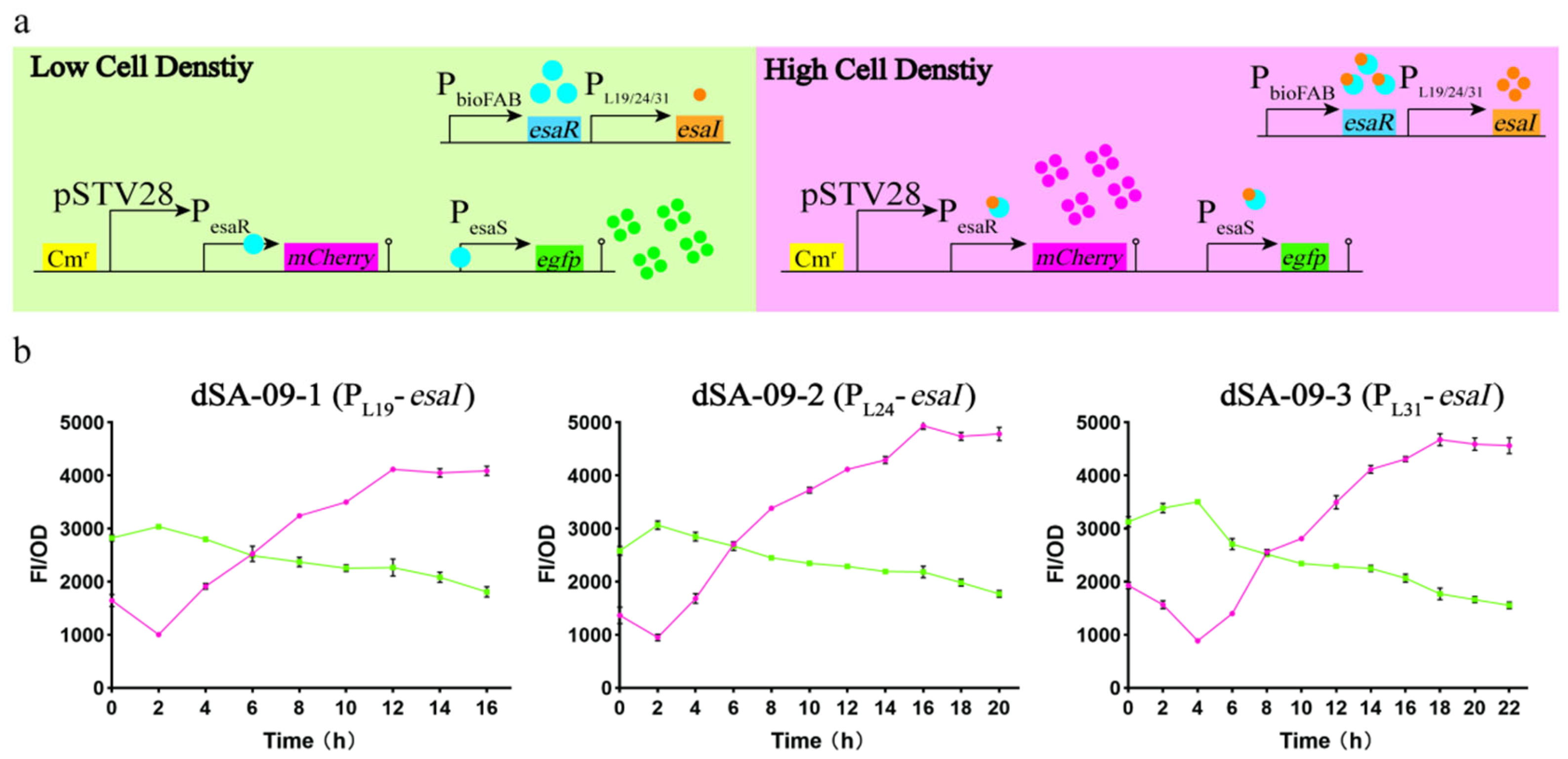 Metabolites 13 00747 g005
