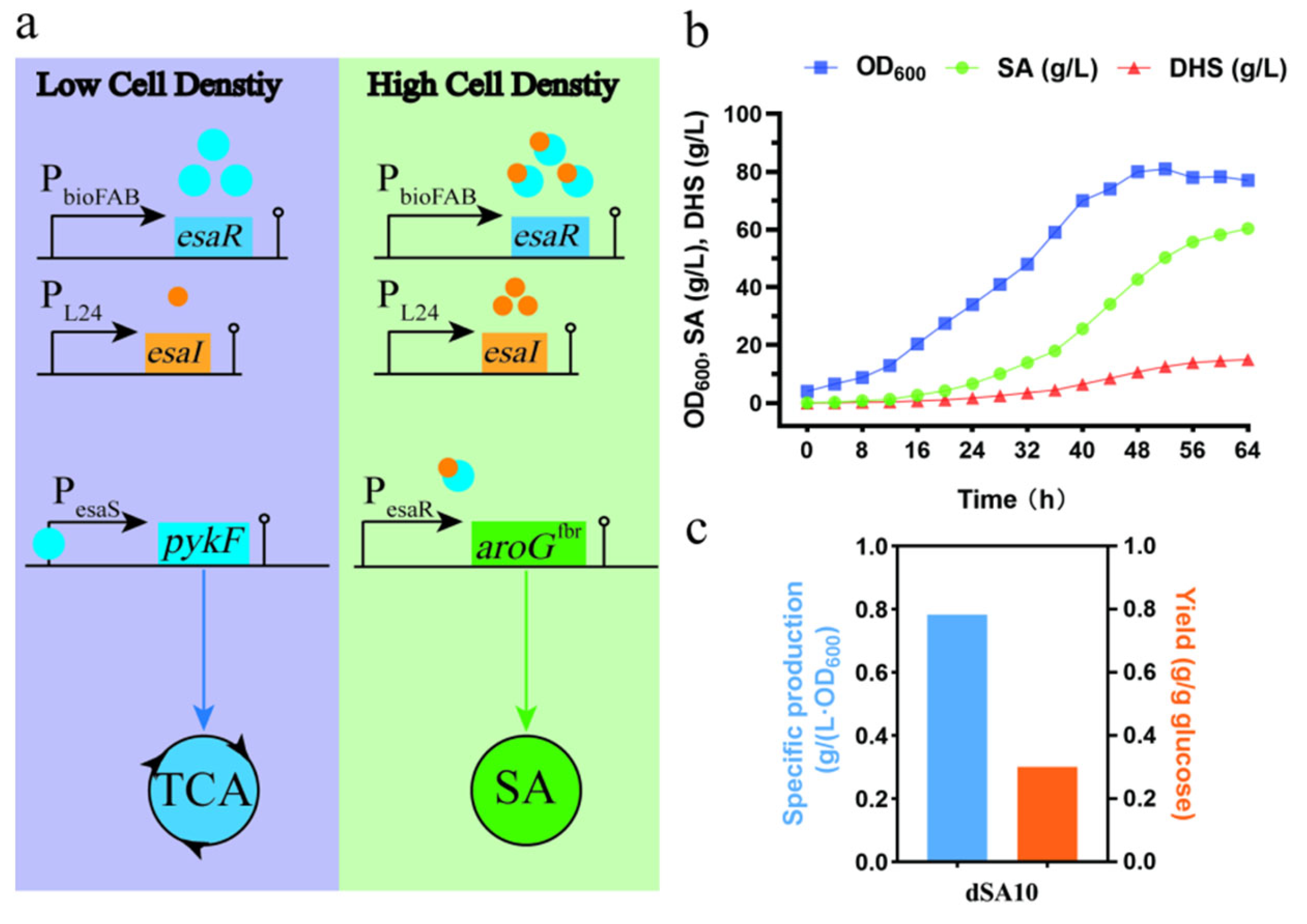 Metabolites 13 00747 g006