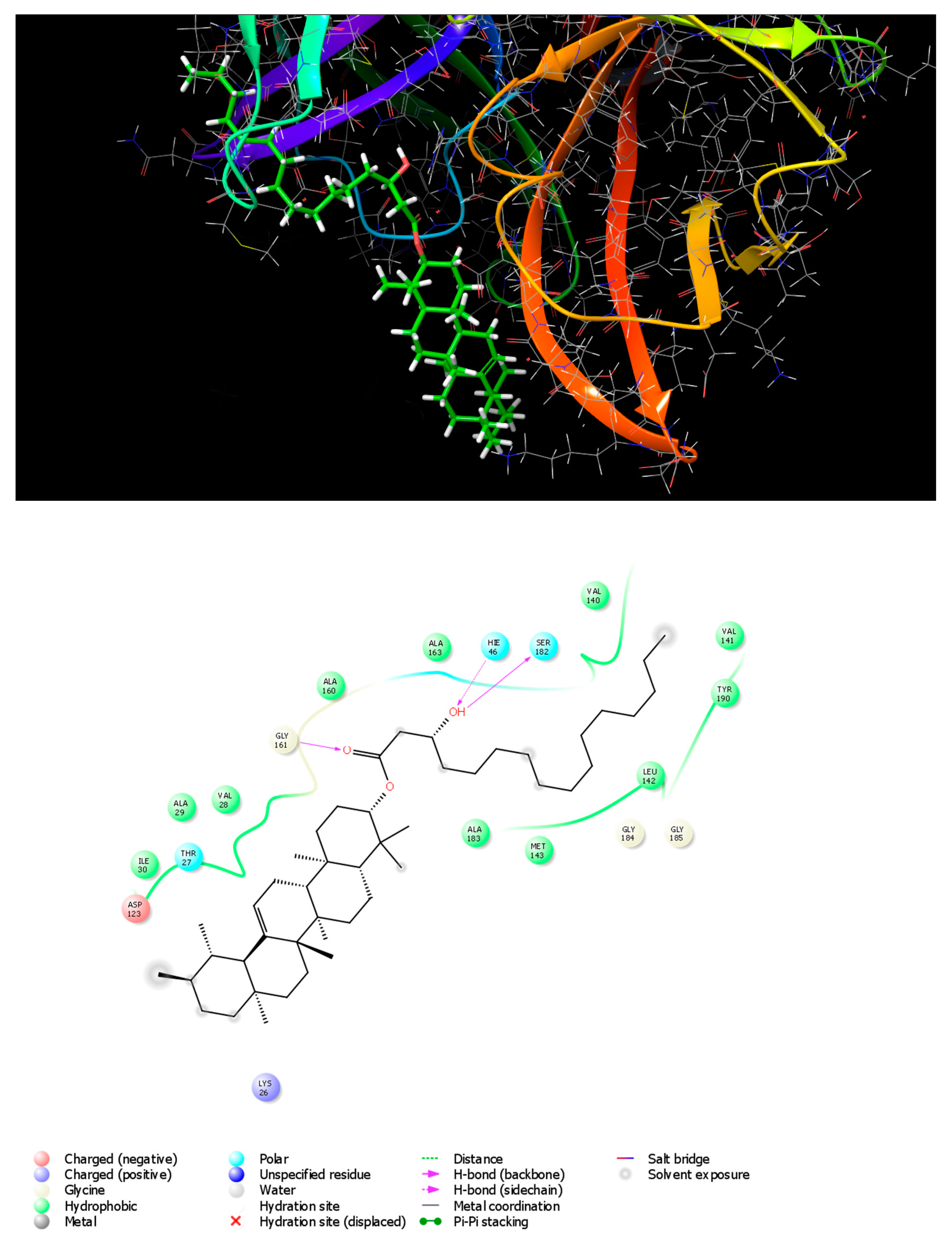 Metabolites 13 00750 g002
