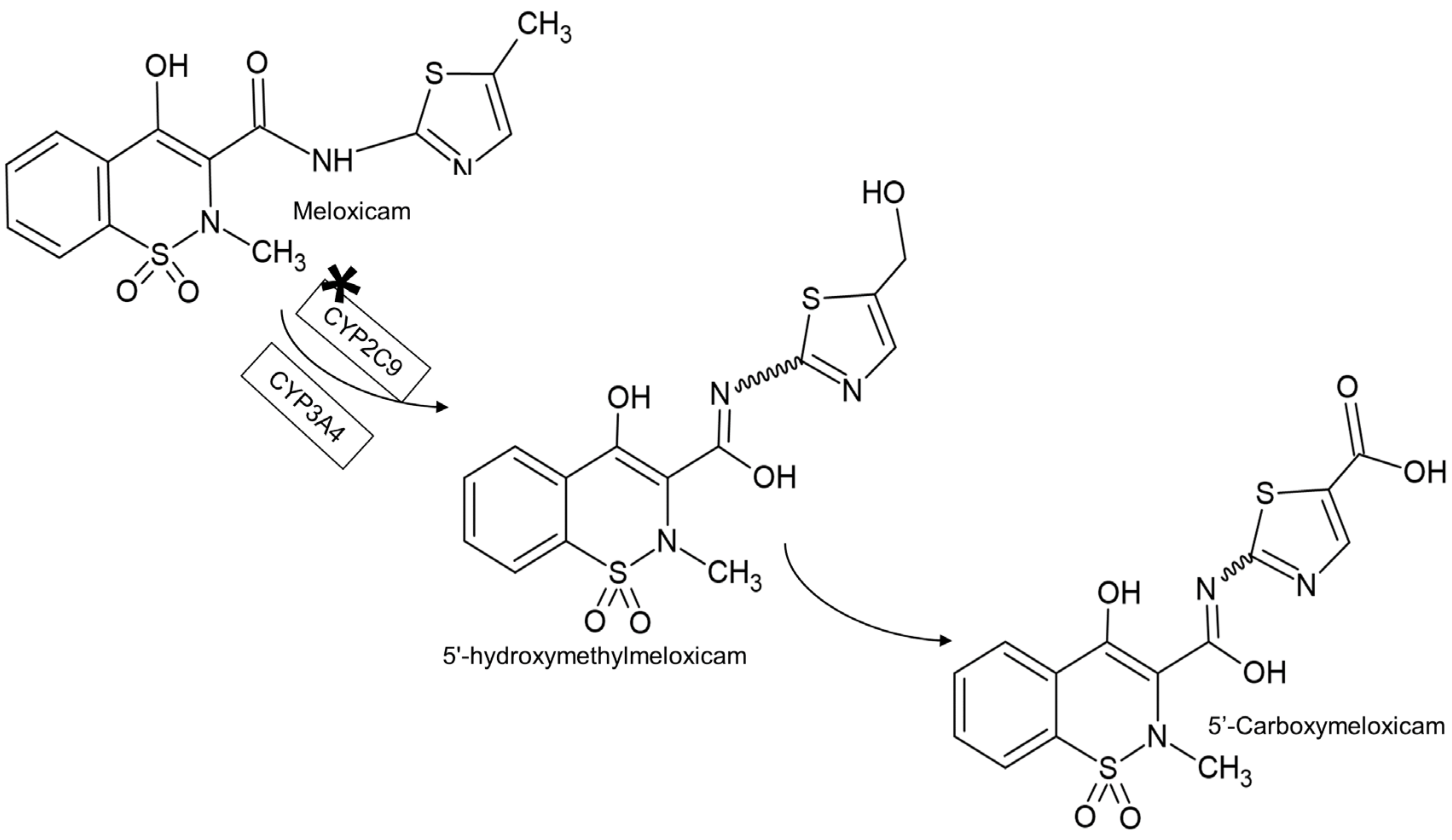 Metabolites 13 00755 g001