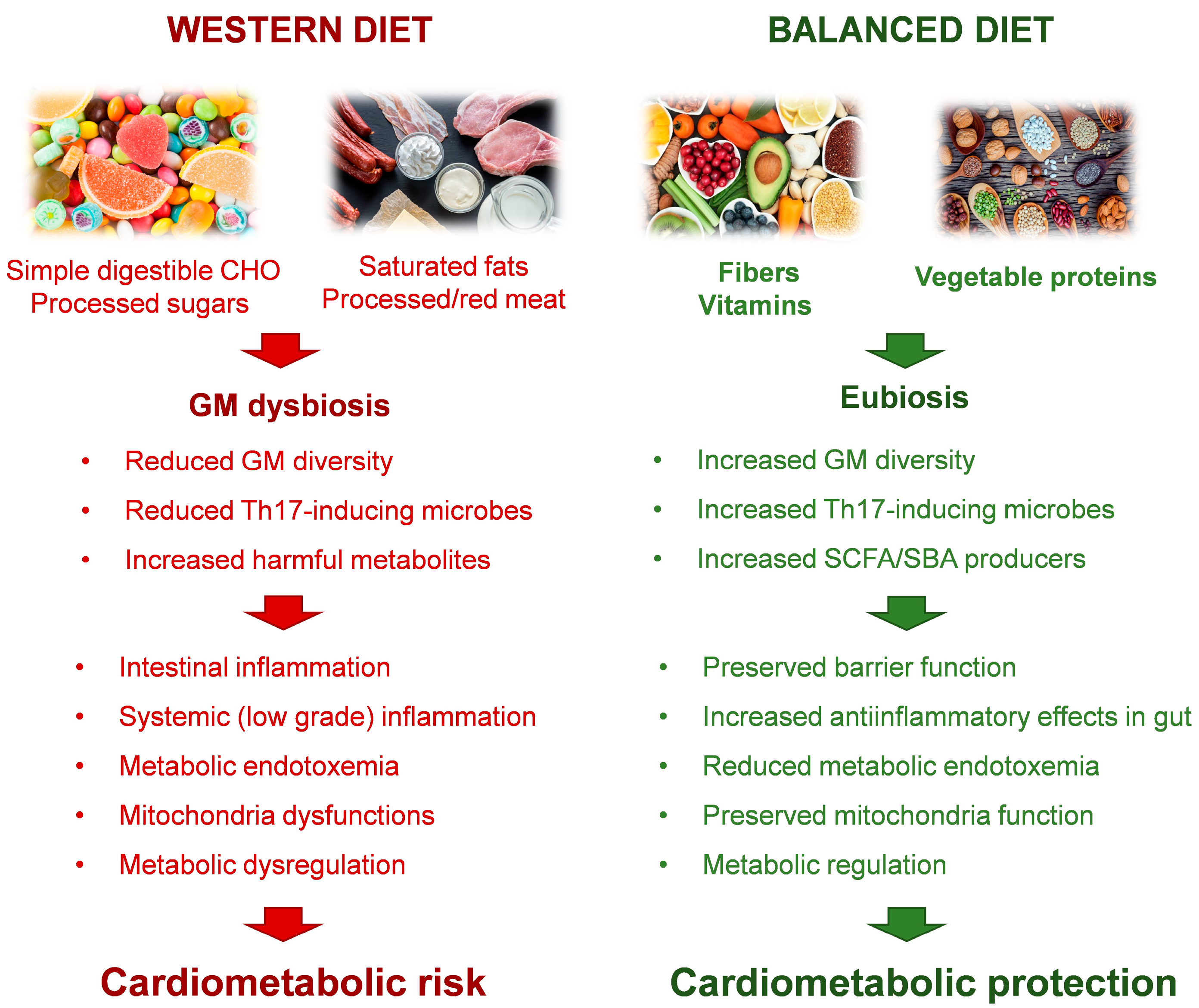 Metabolites 13 00760 g001