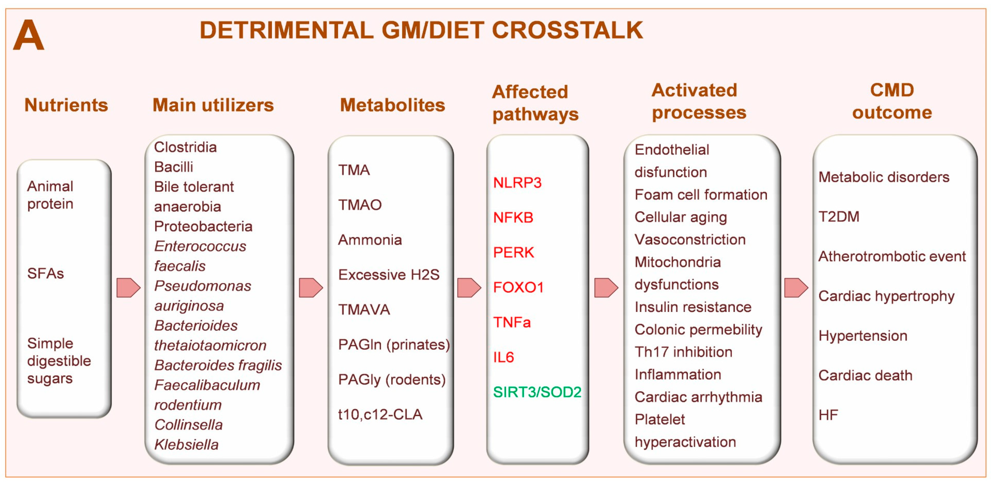 Metabolites 13 00760 g002a