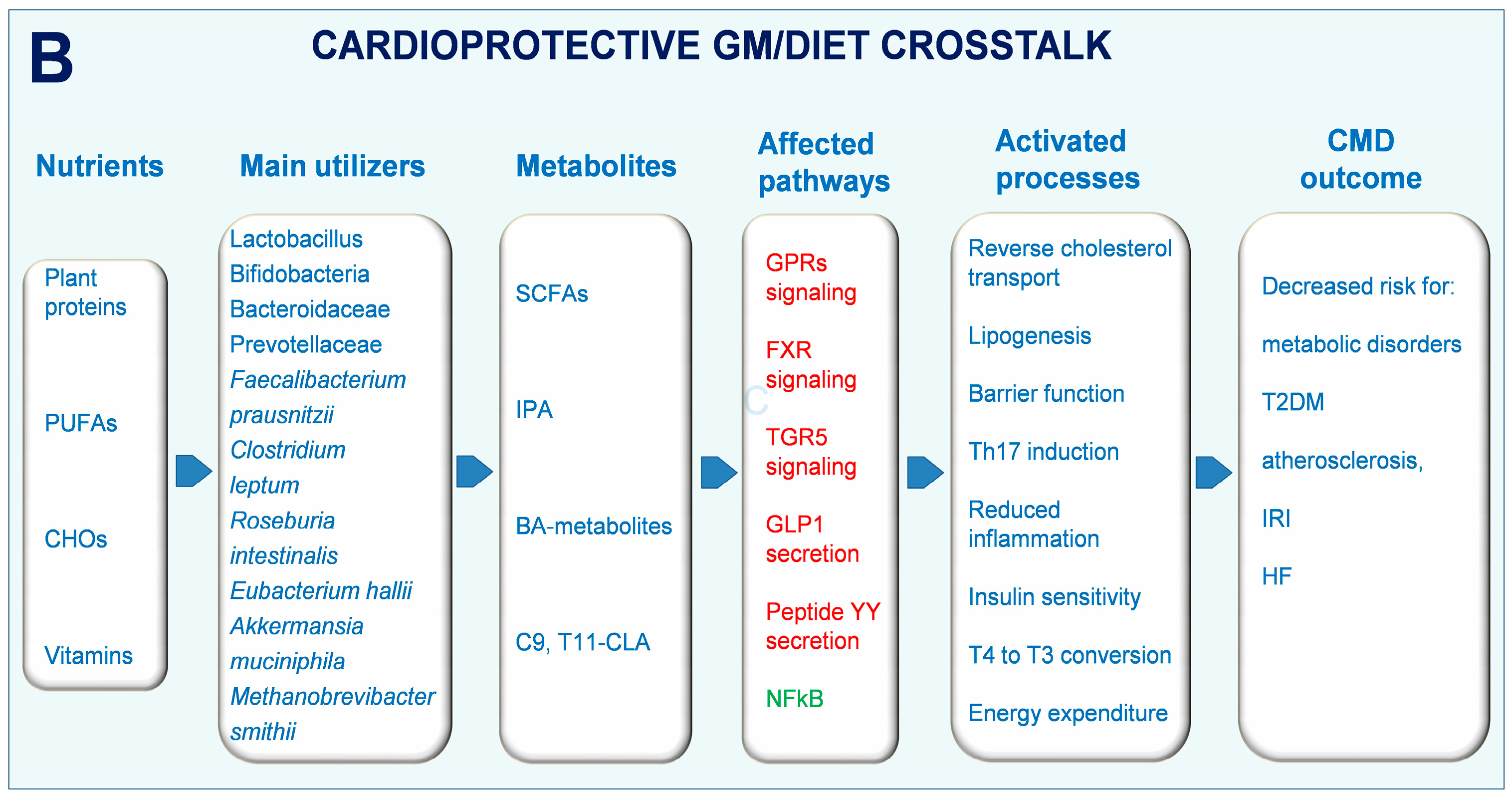 Metabolites 13 00760 g002b