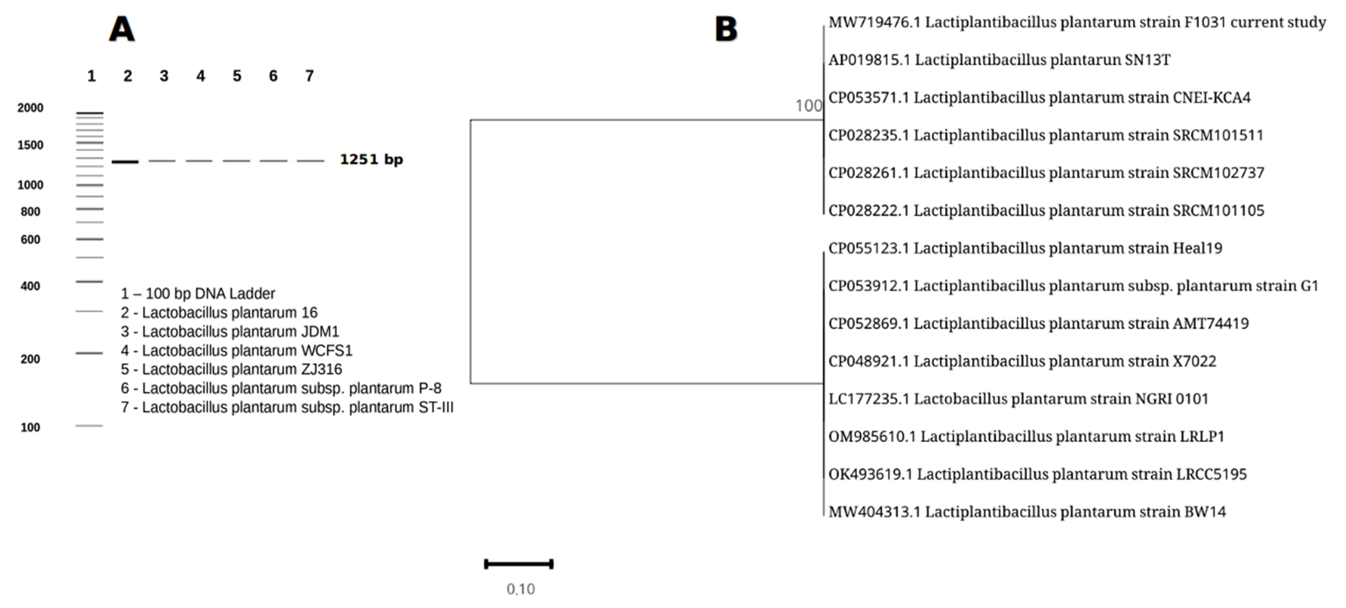 Metabolites 13 00764 g001