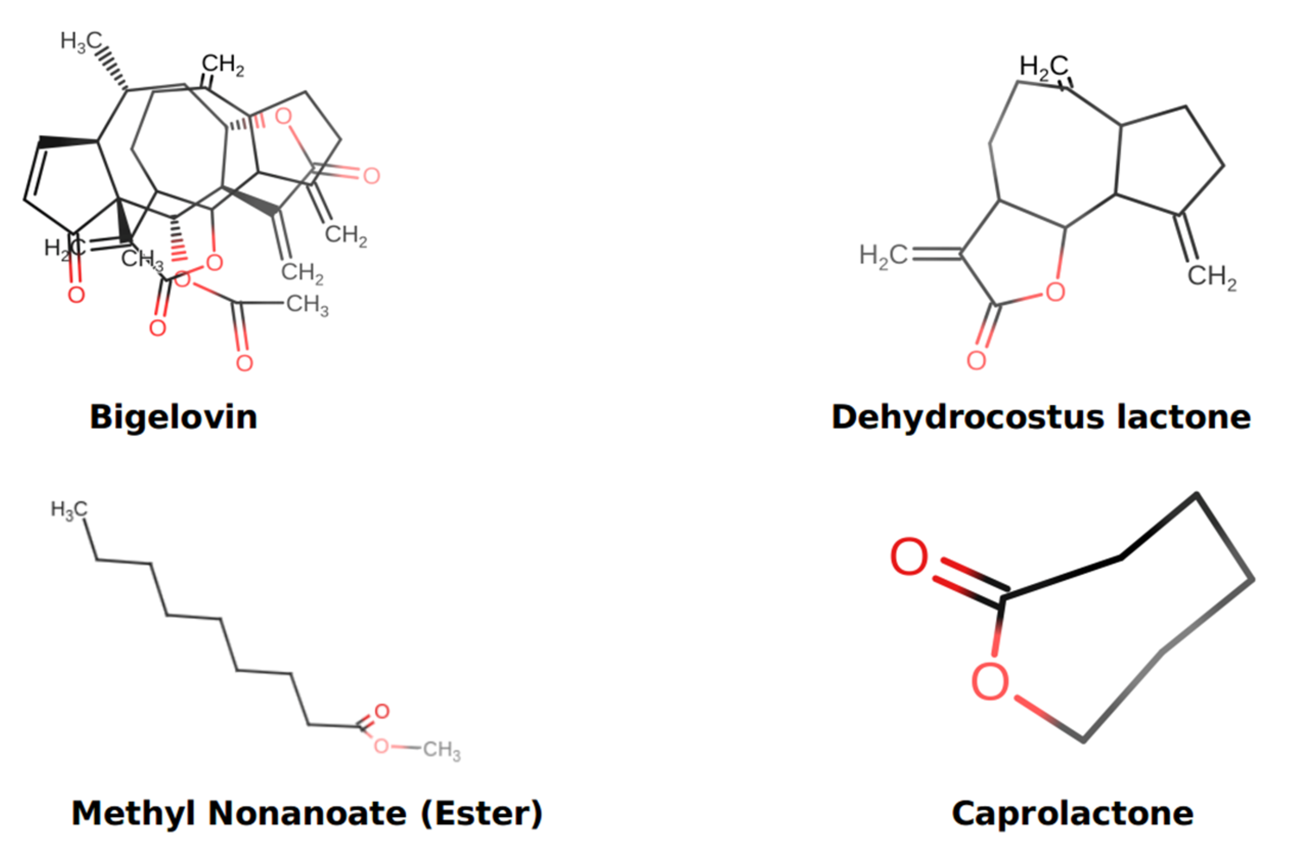 Metabolites 13 00764 g008