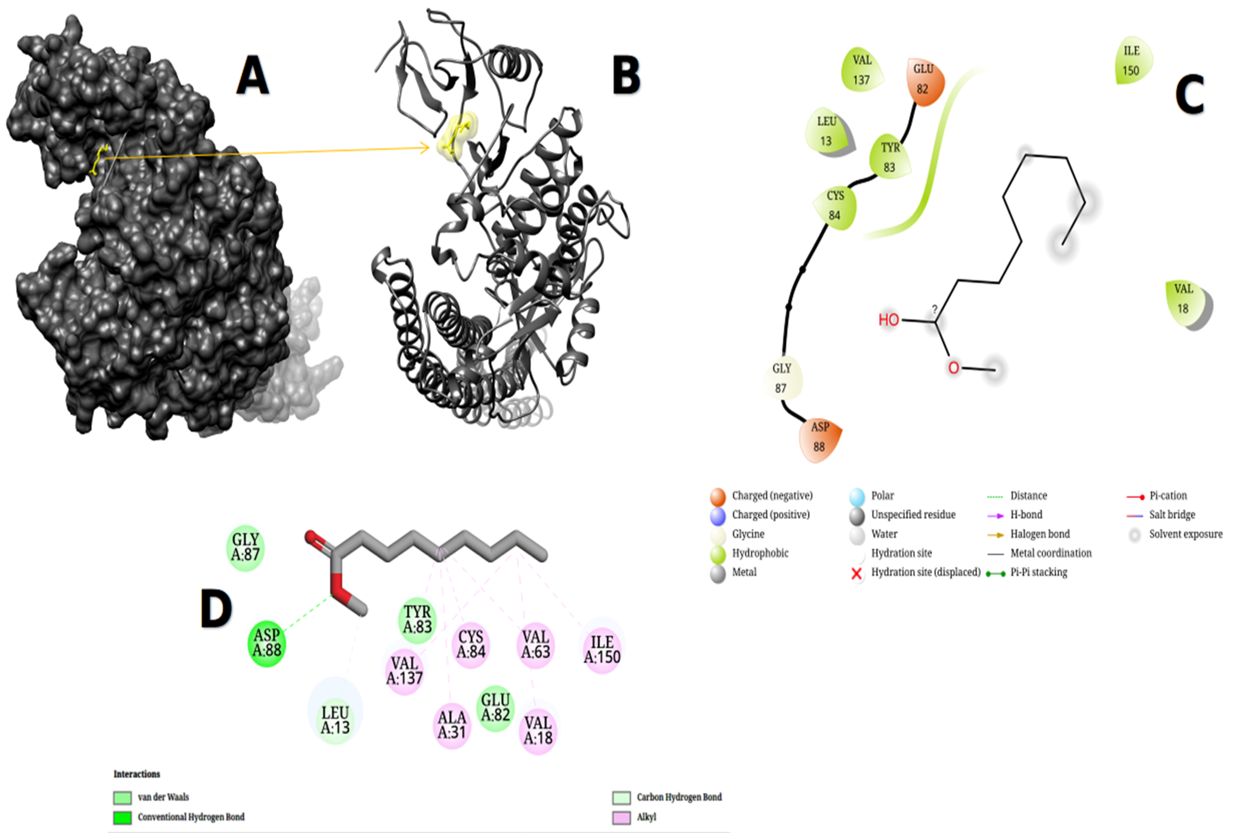 Metabolites 13 00764 g011