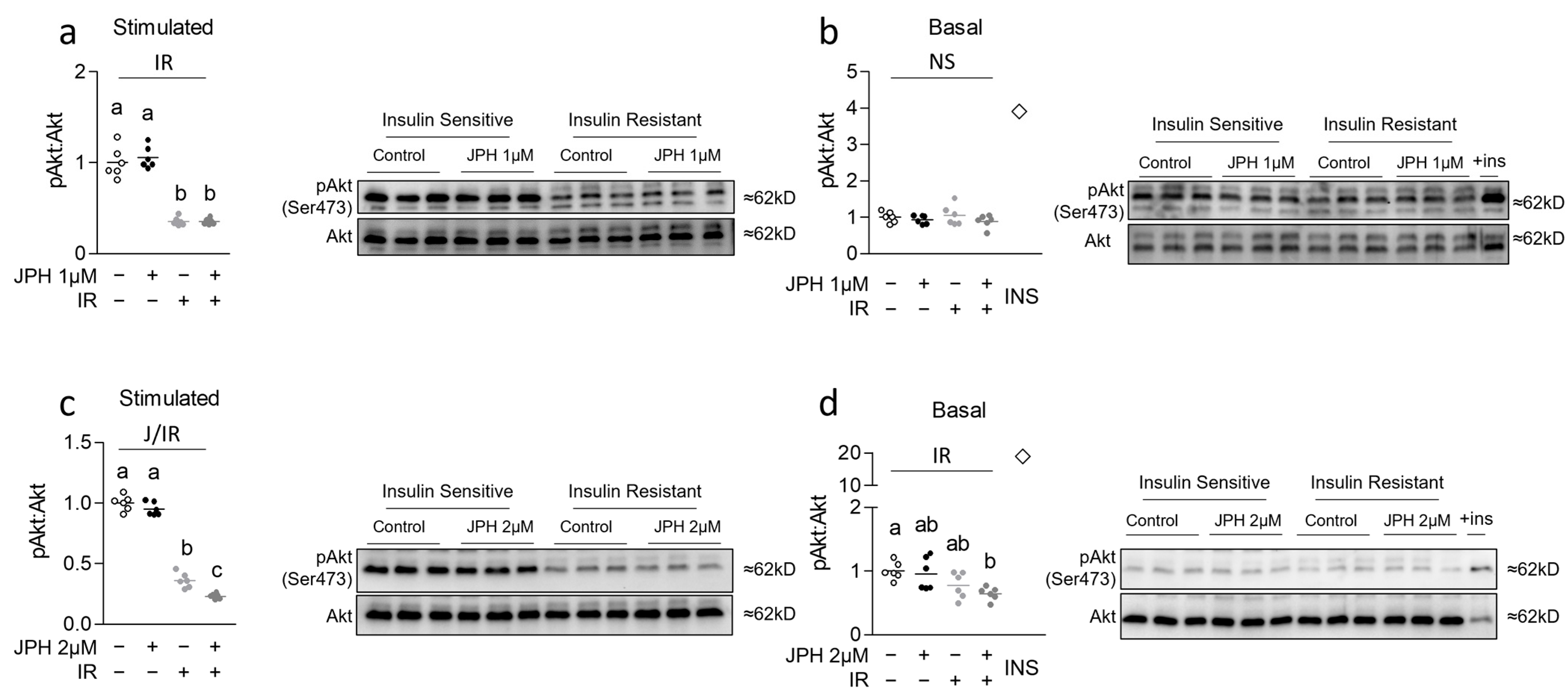 Metabolites 13 00766 g001 Metabolites 13 00766 g001