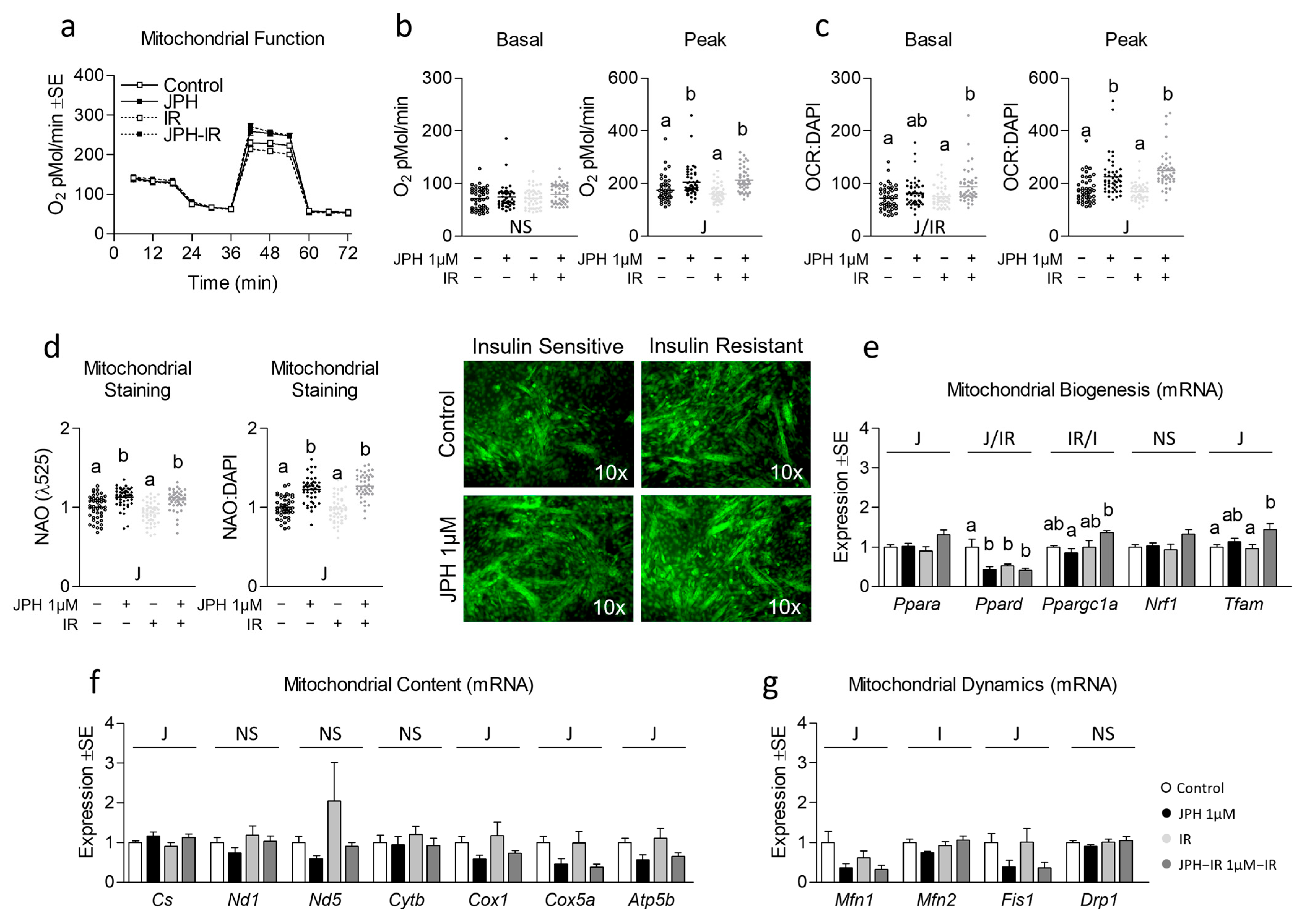 Metabolites 13 00766 g002 Metabolites 13 00766 g002
