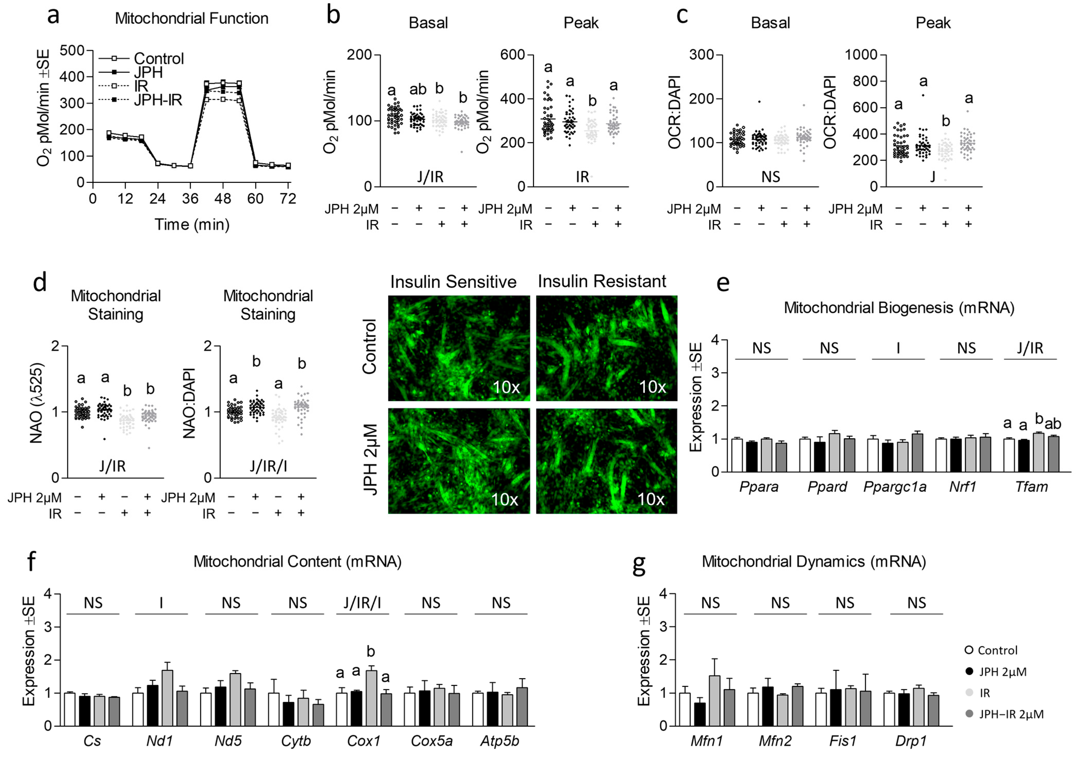 Metabolites 13 00766 g003 Metabolites 13 00766 g003