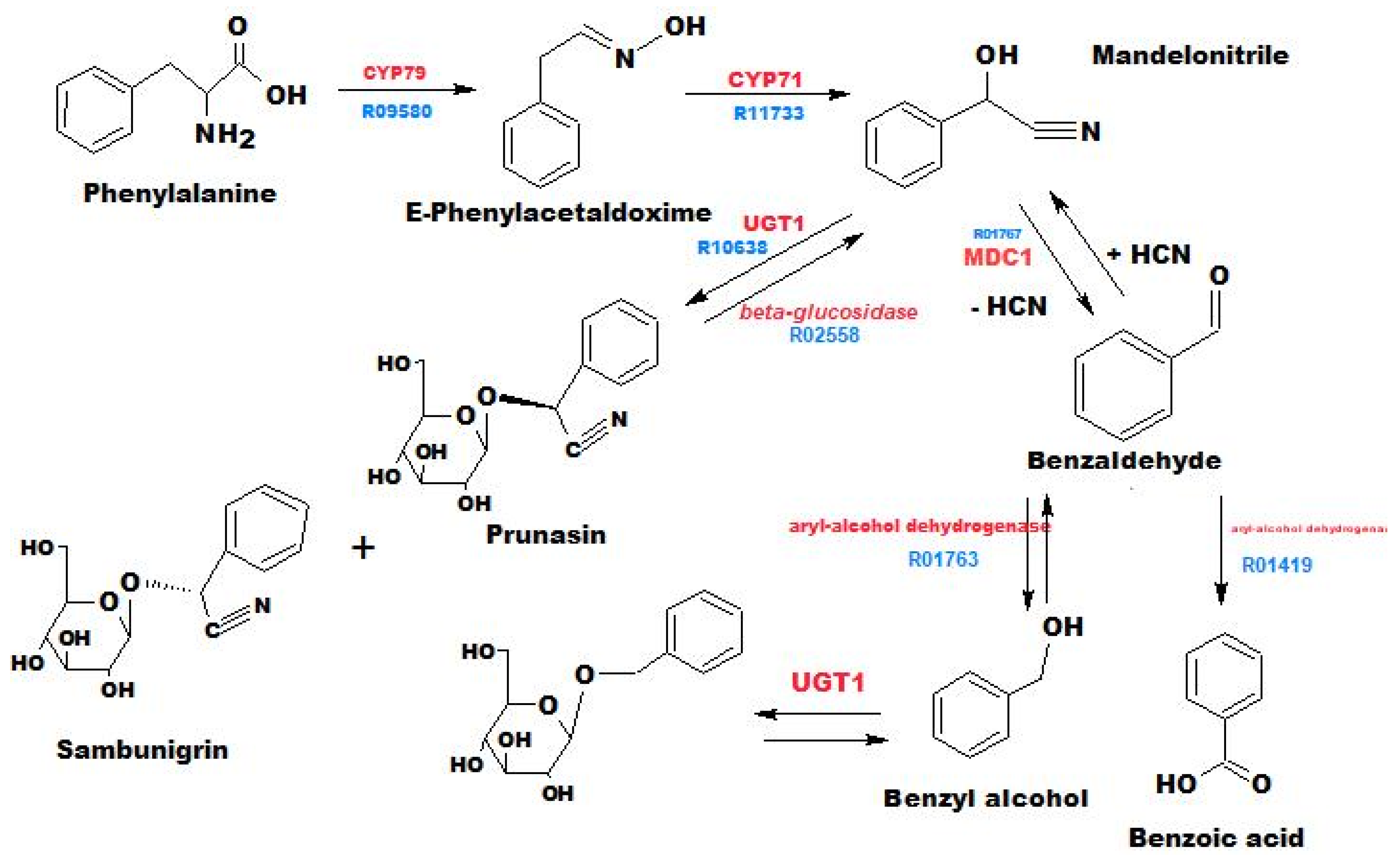 Metabolites 13 00768 g003