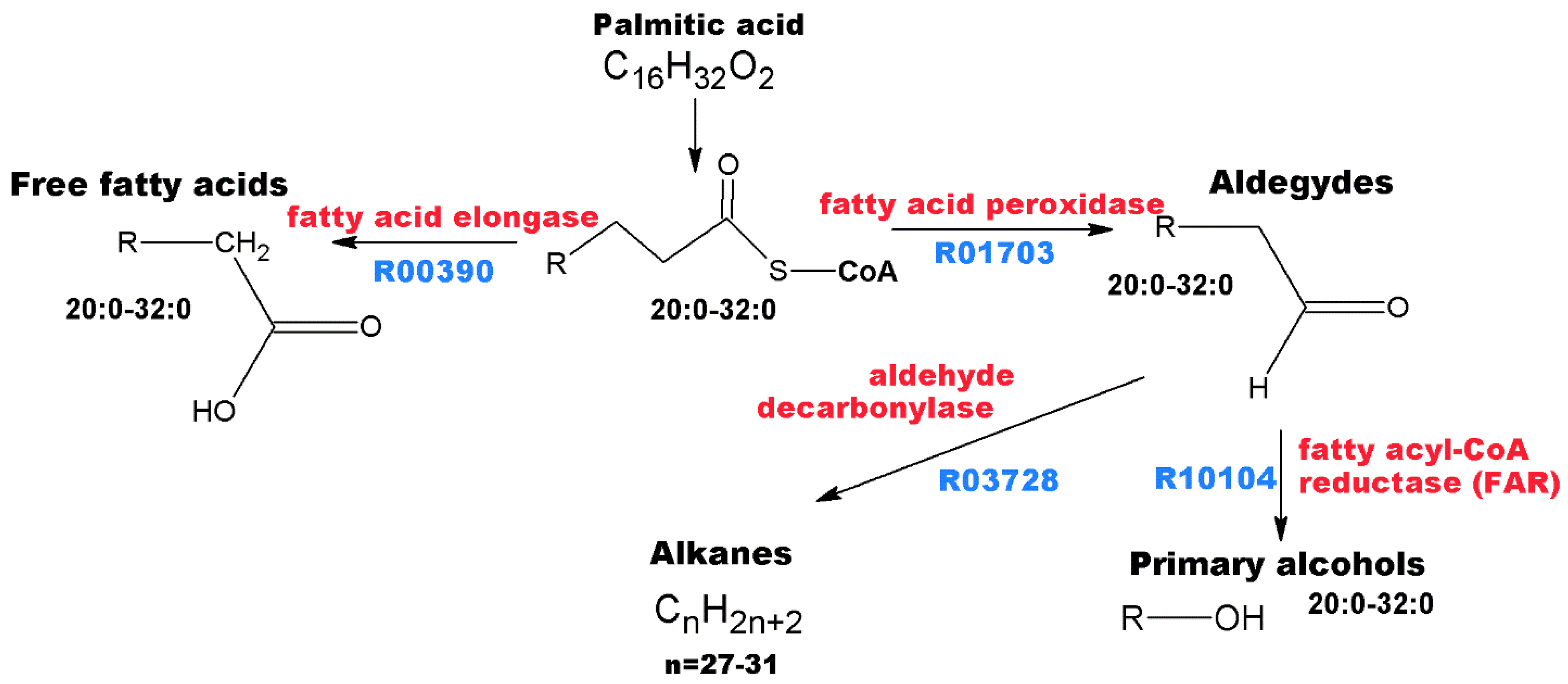 Metabolites 13 00768 g005