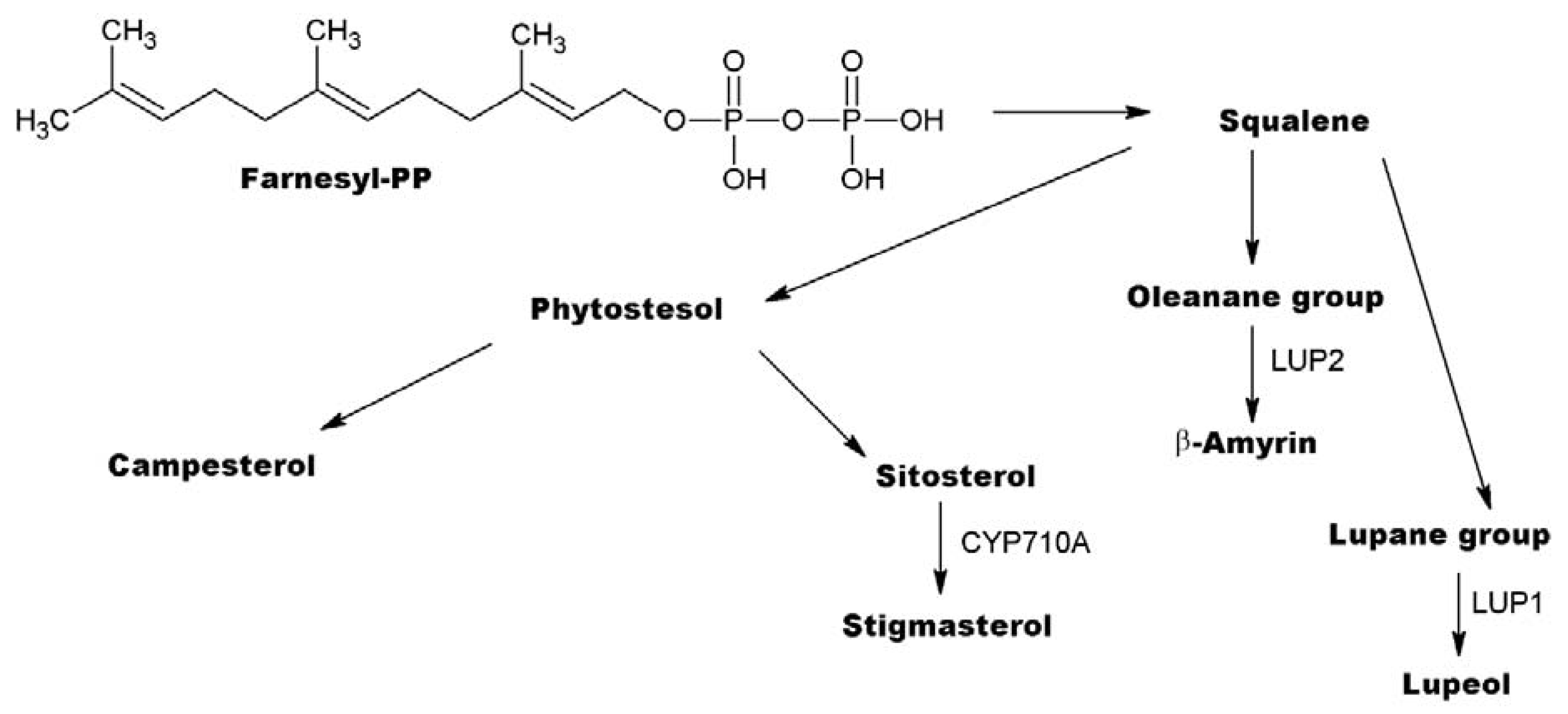 Metabolites 13 00768 g006
