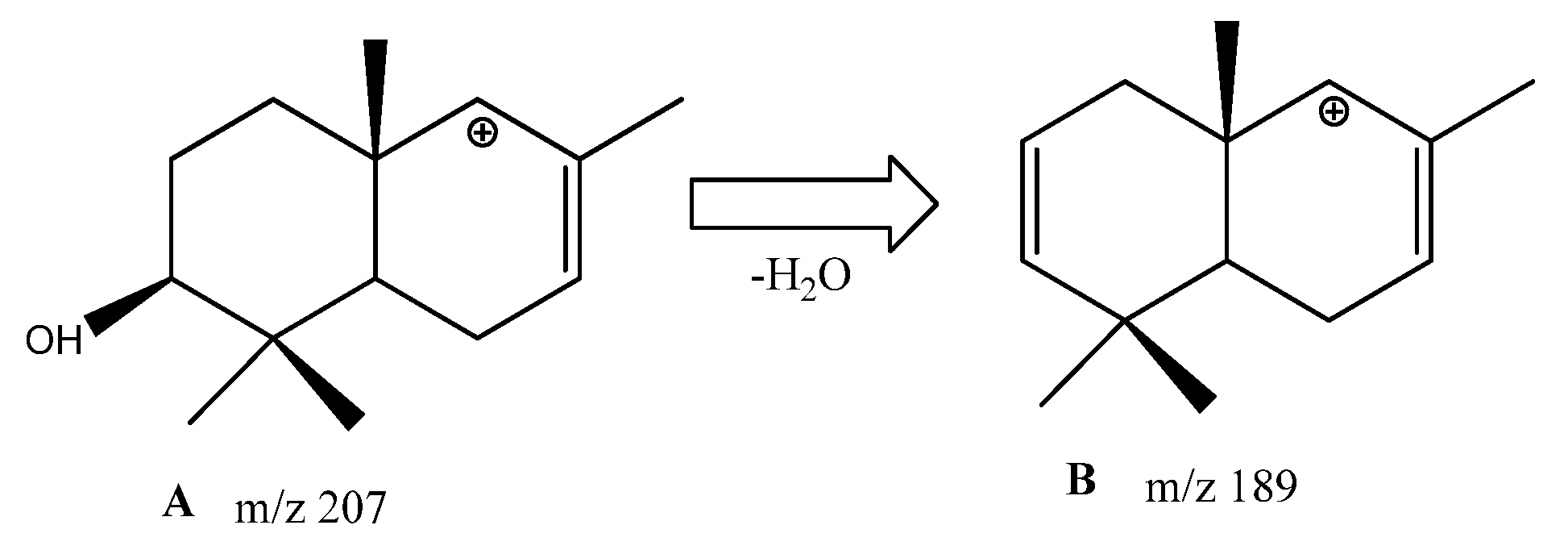Metabolites 13 00768 g008