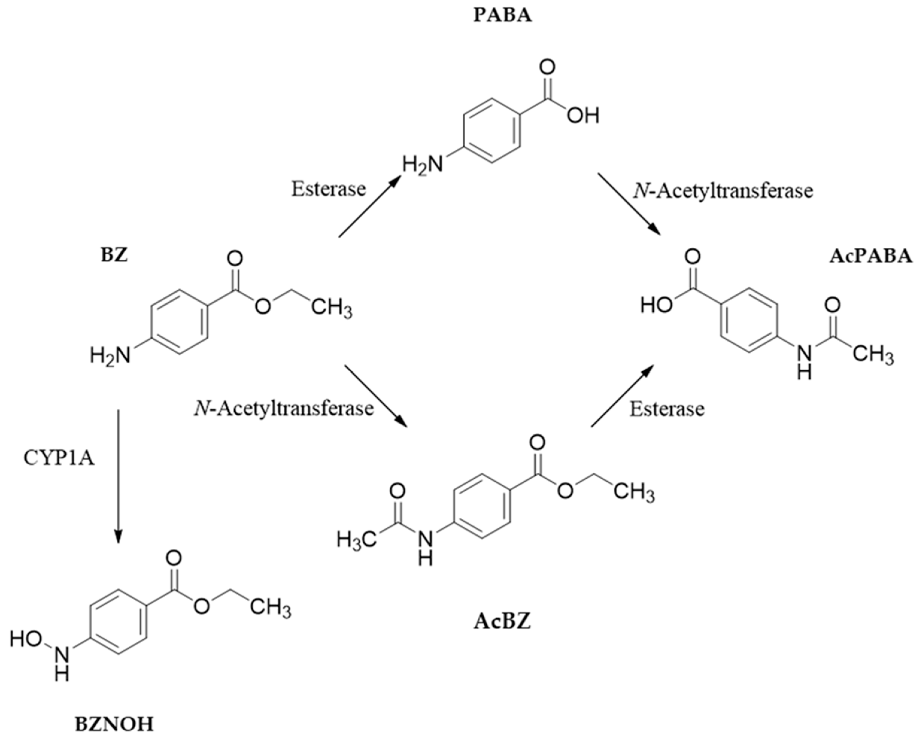 Metabolites 13 00771 g006