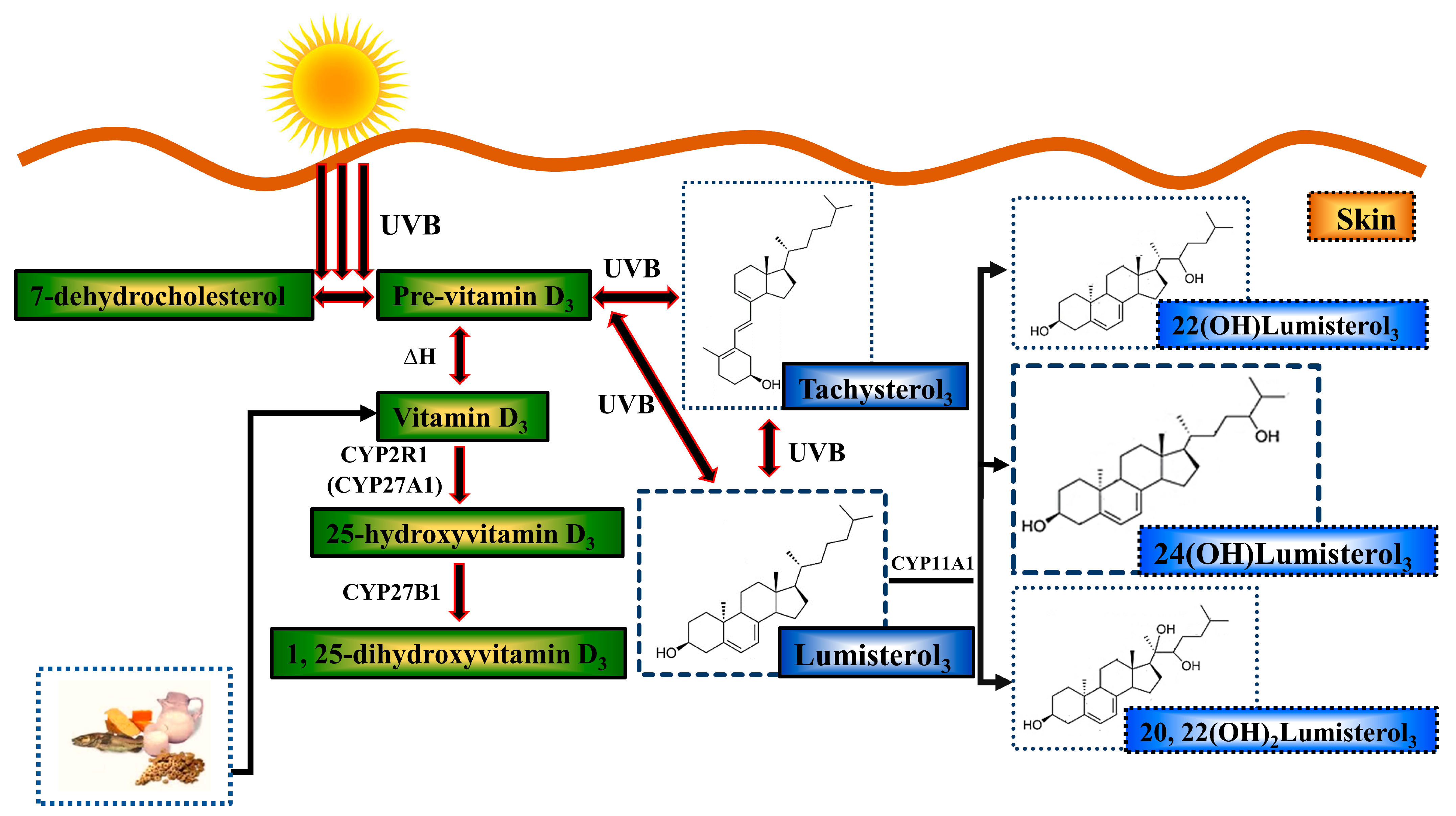 Metabolites 13 00775 g001
